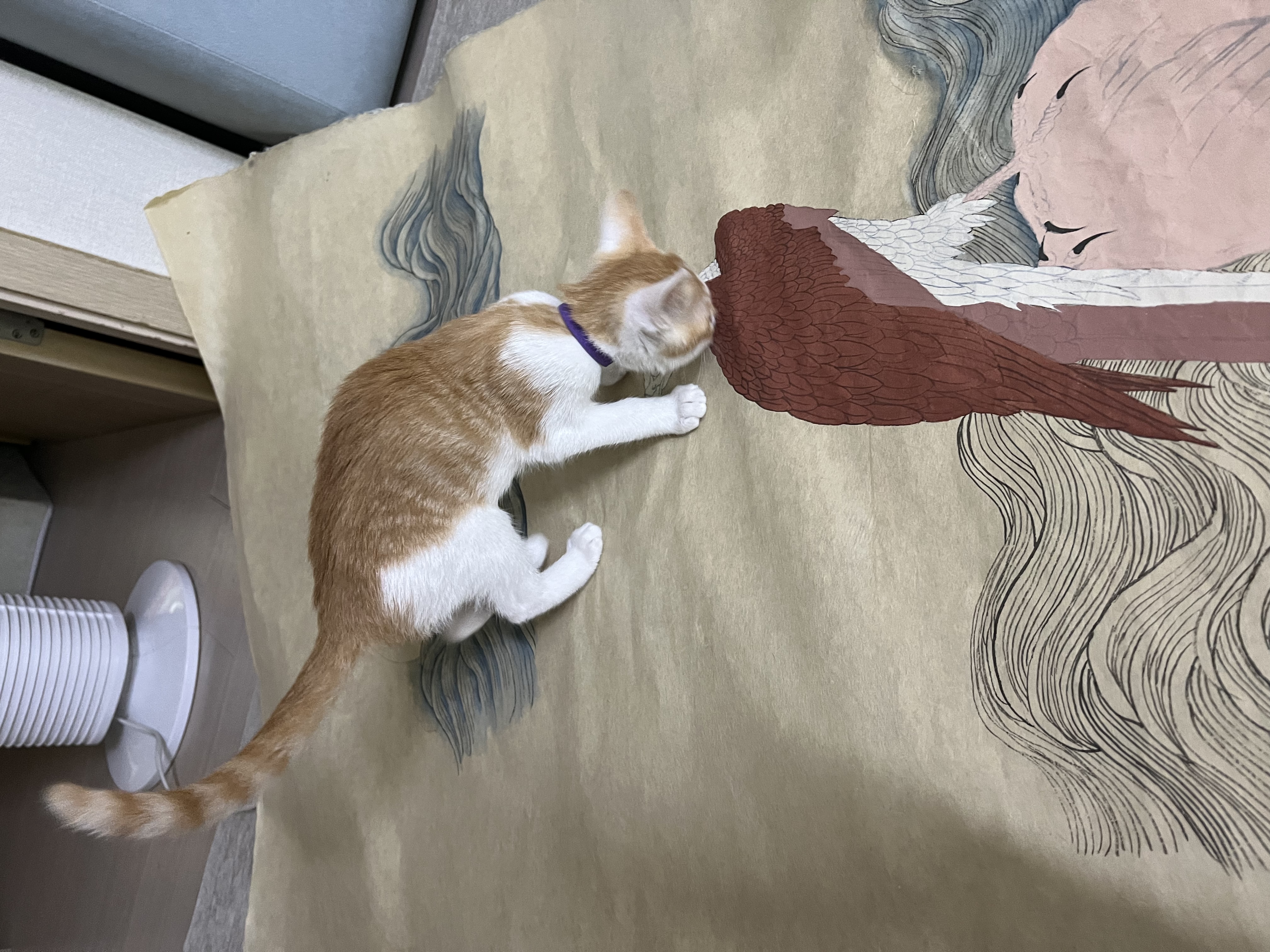 지구 뿌시러온 바니&차니 2주차