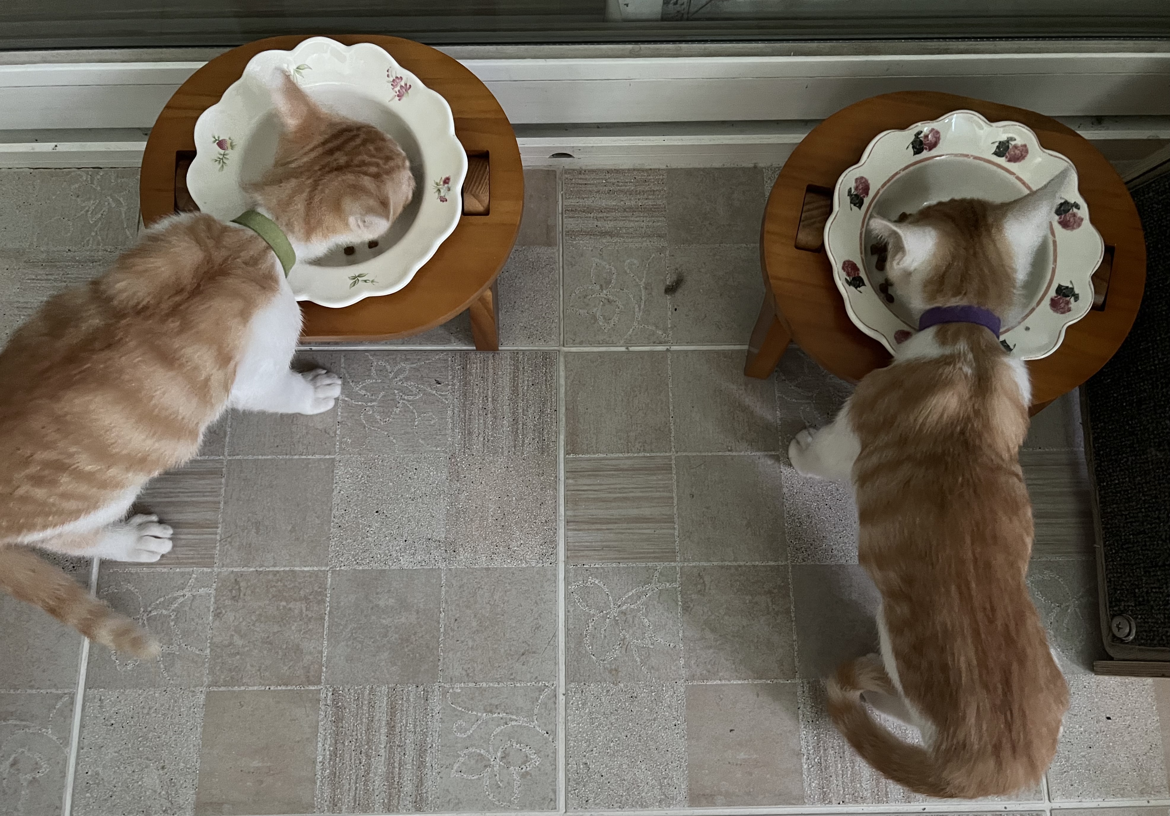 지구 뿌시러온 바니&차니 2주차