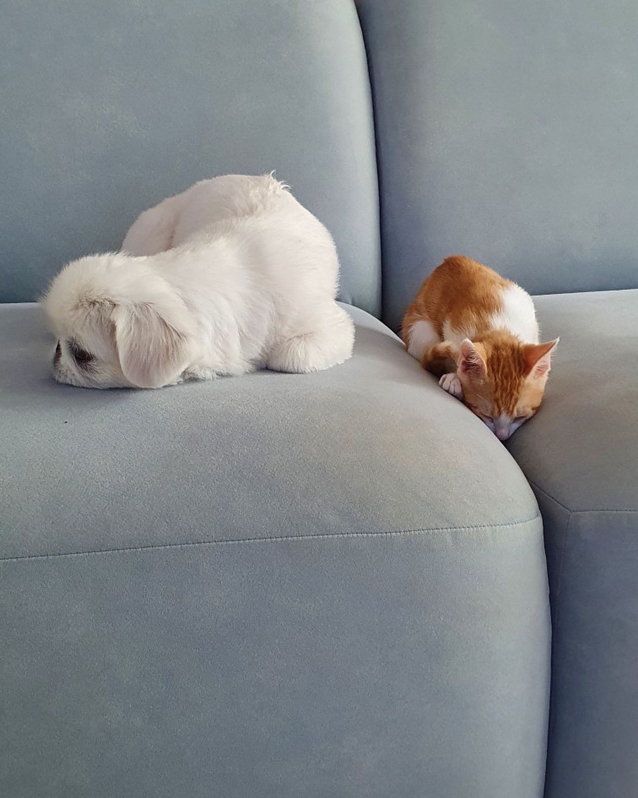 지구 뿌시러온 바니&차니 2주차