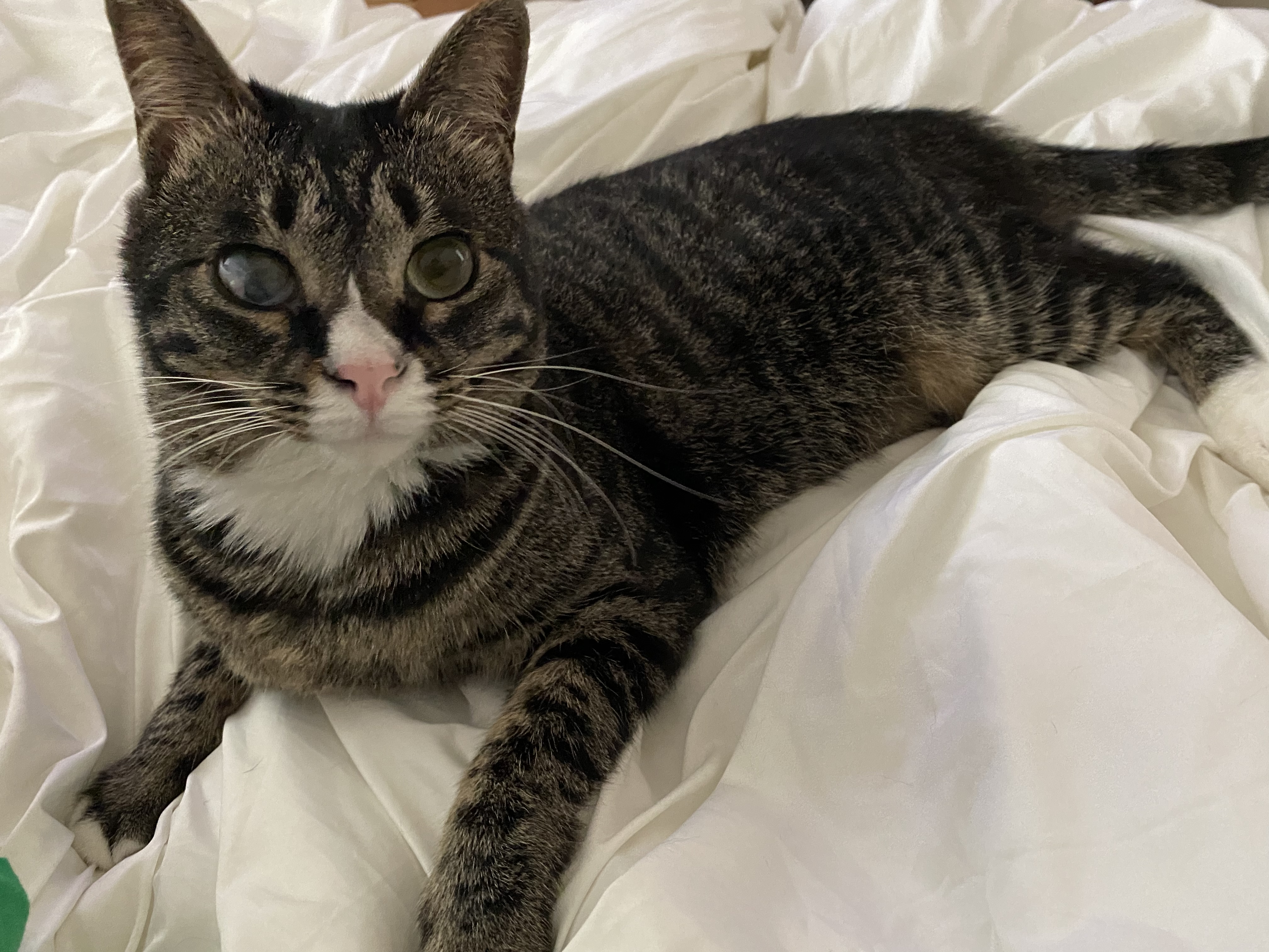 해인이가 온지 3년이 넘었어요💛