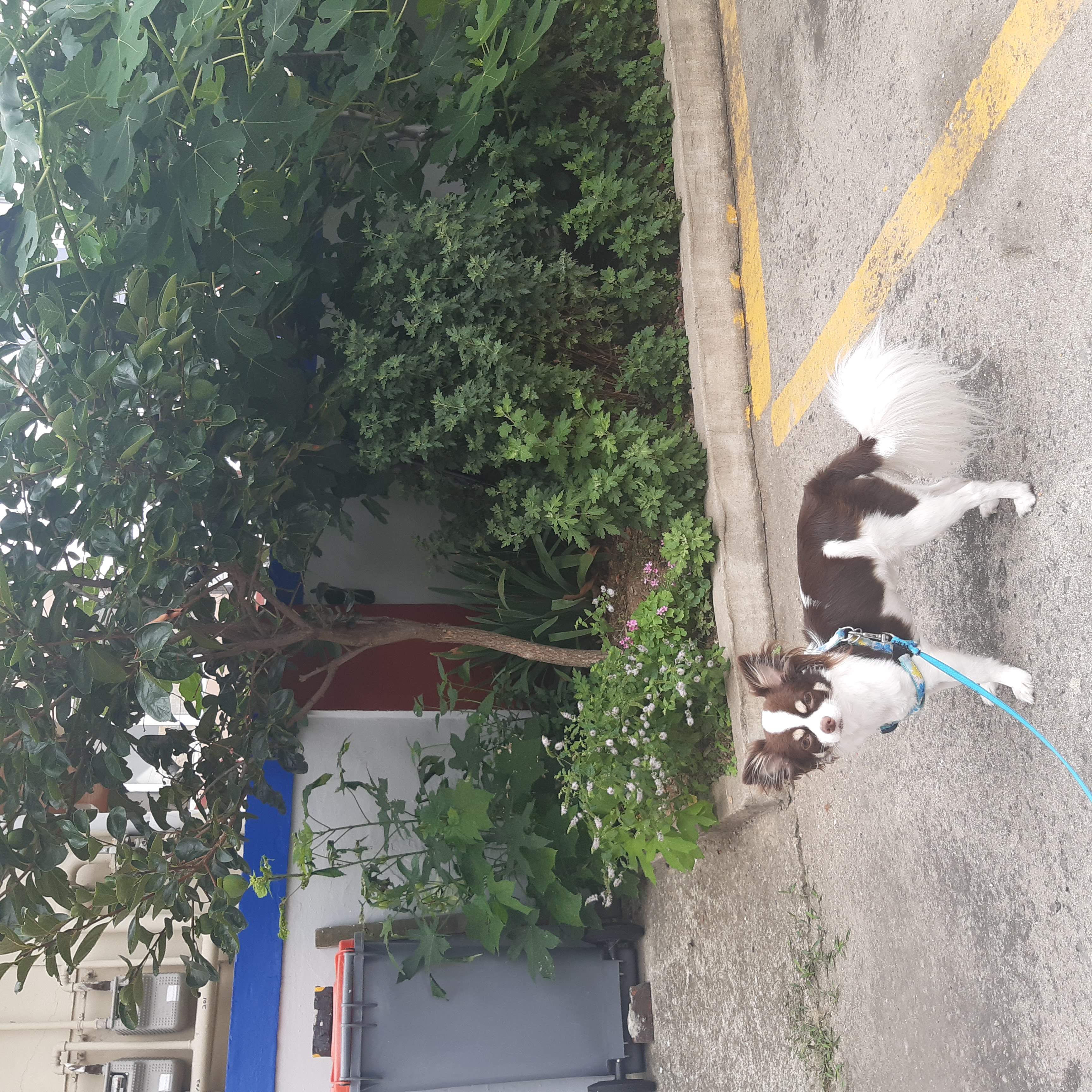 뽀롱이 소식  한번 더 올립니다.