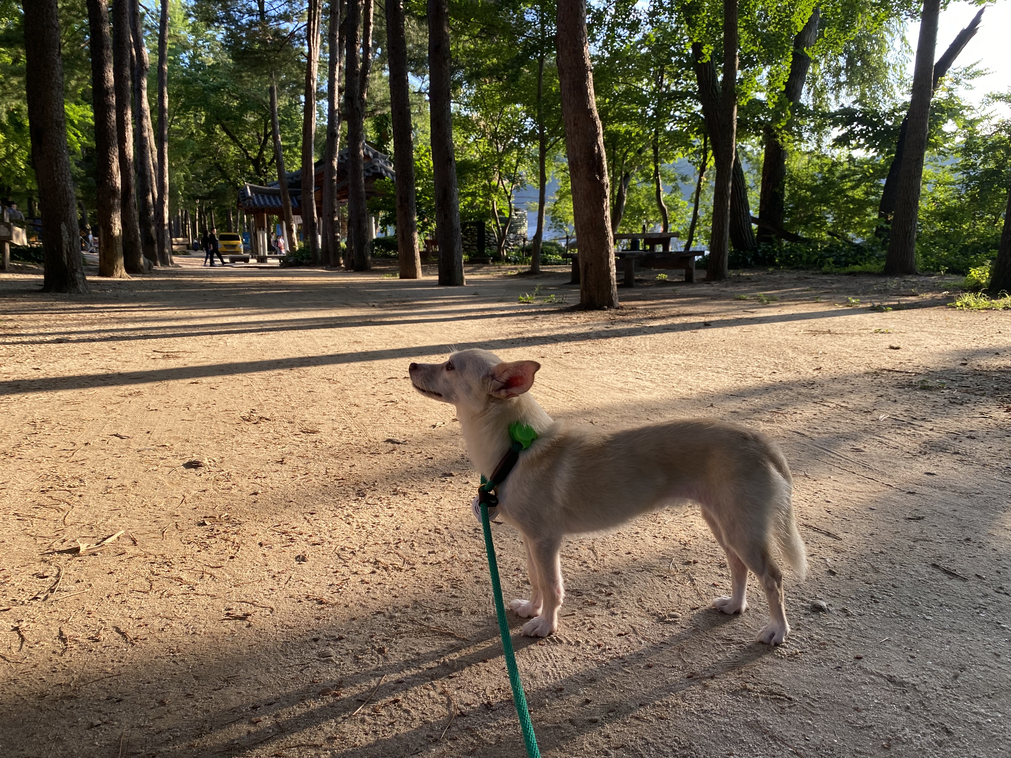 마야 소식입니다 :) 