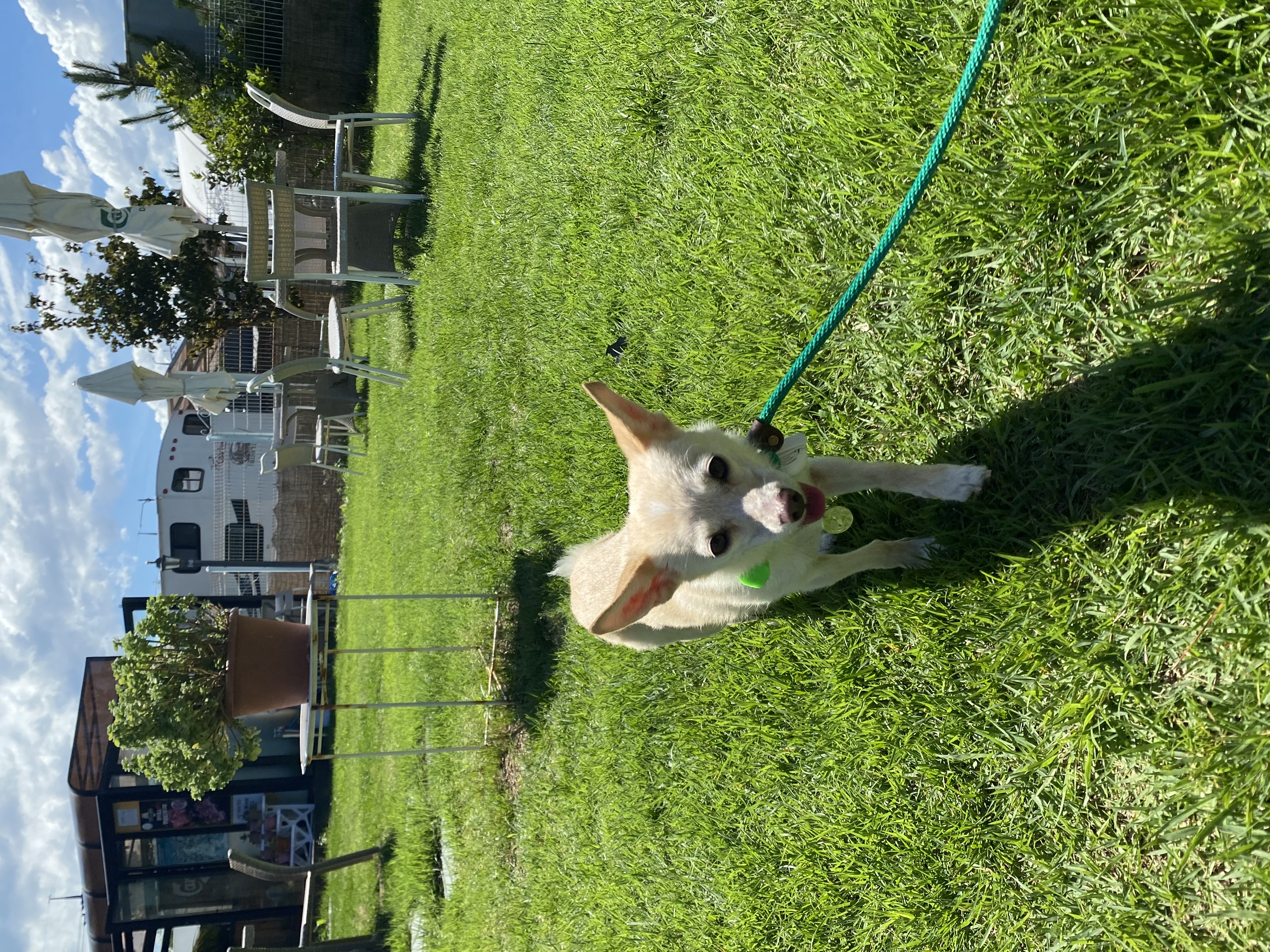 마야 소식입니다 :) 