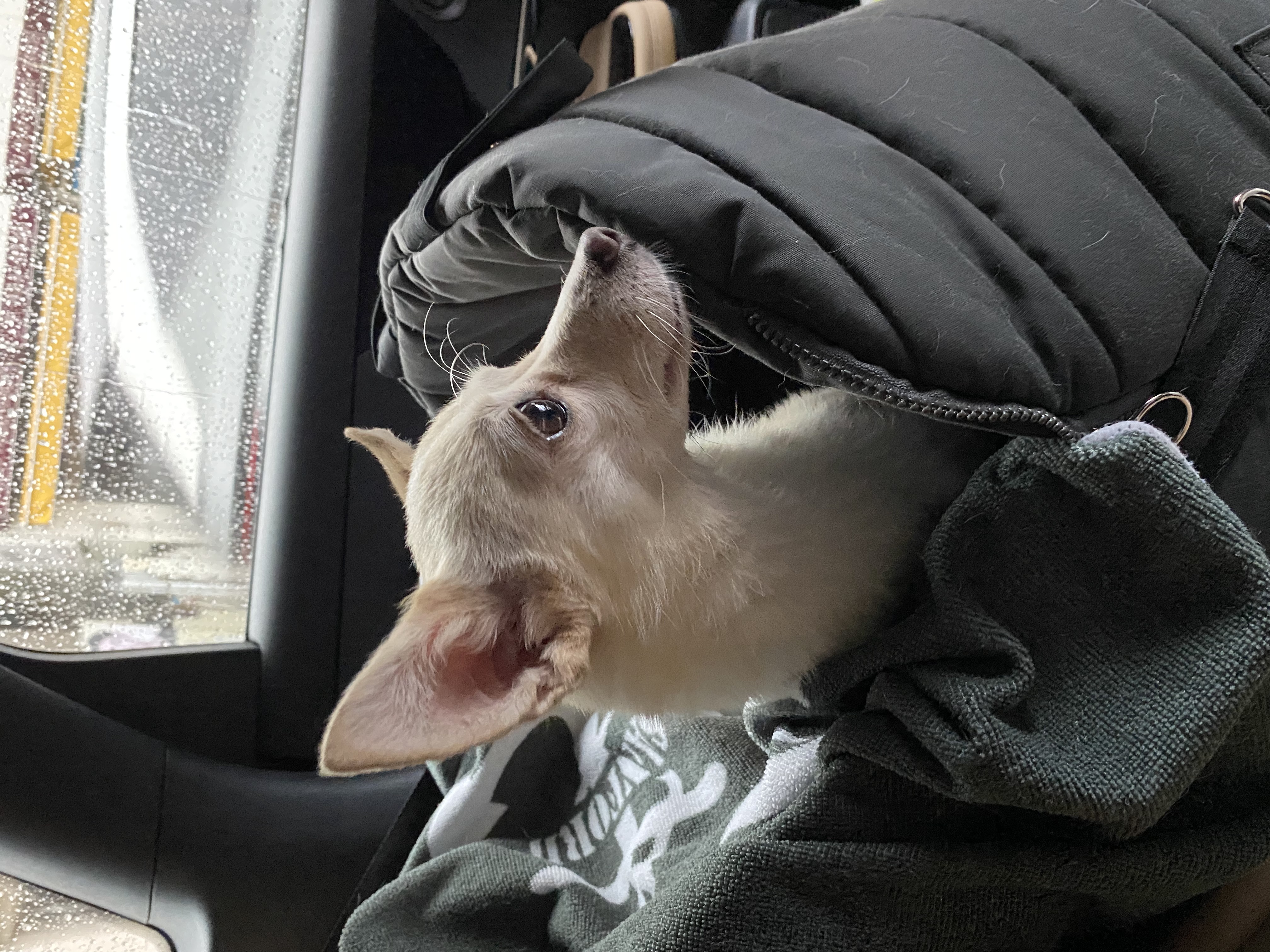 마야 소식입니다 :) 