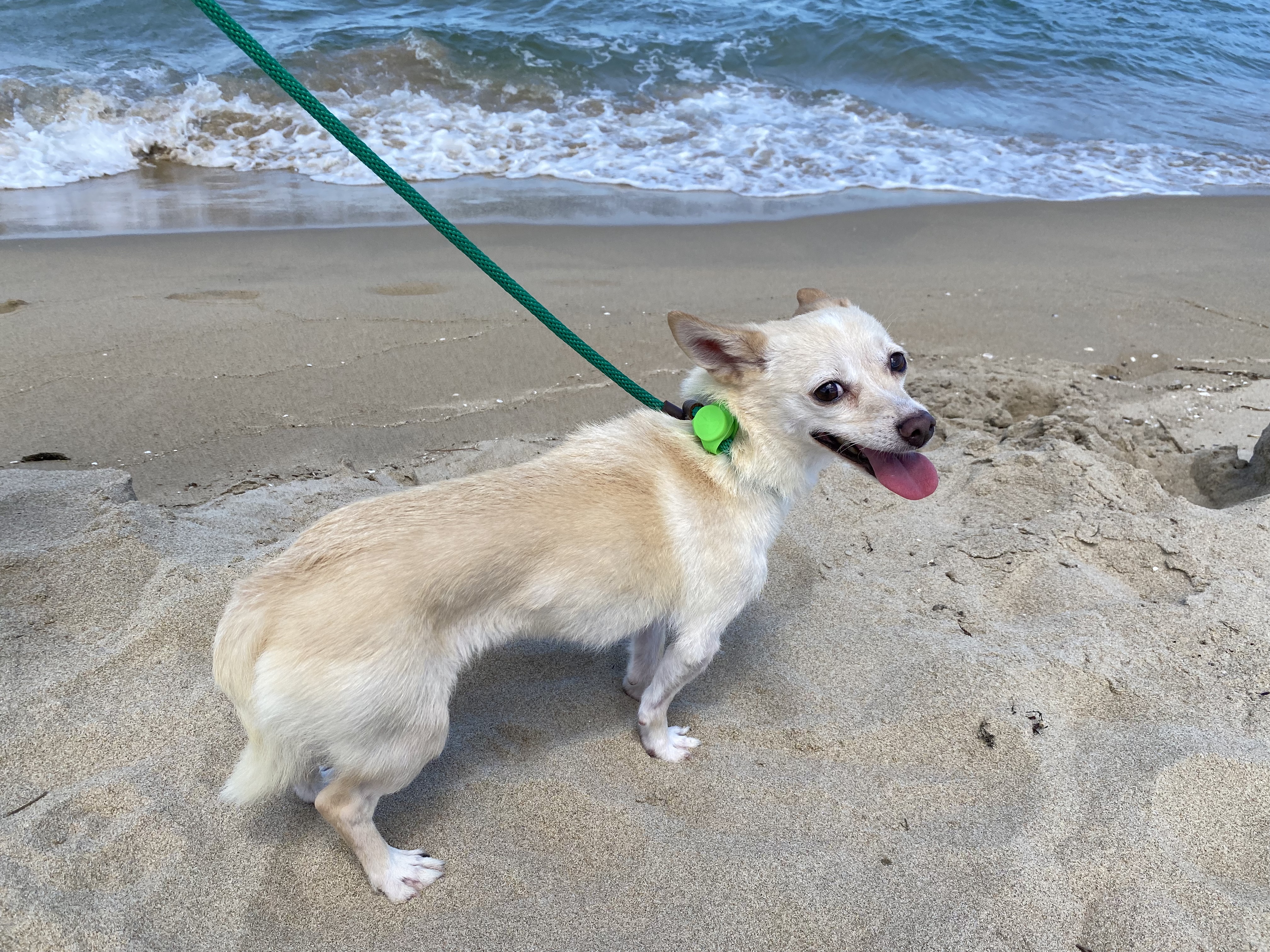 마야 소식입니다 :) 