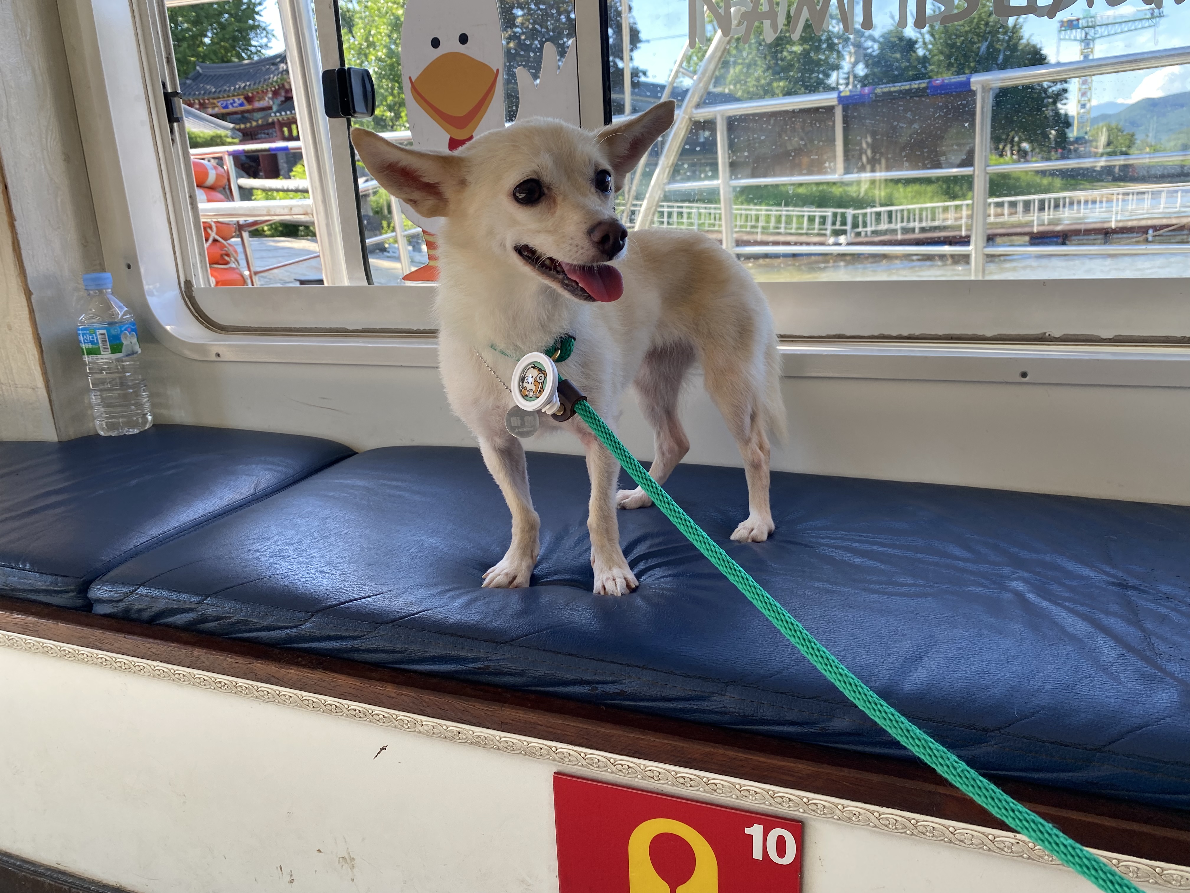 마야 소식입니다 :) 