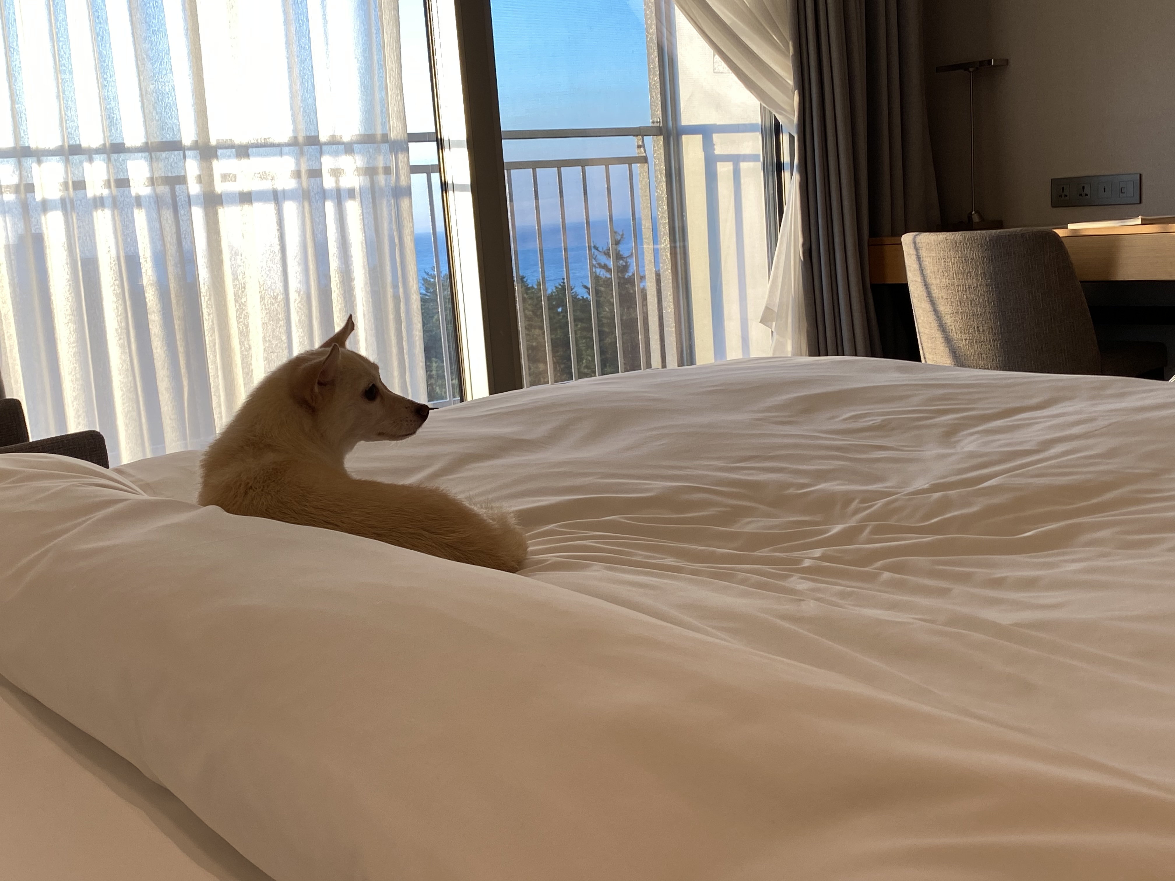 마야 소식입니다 :) 