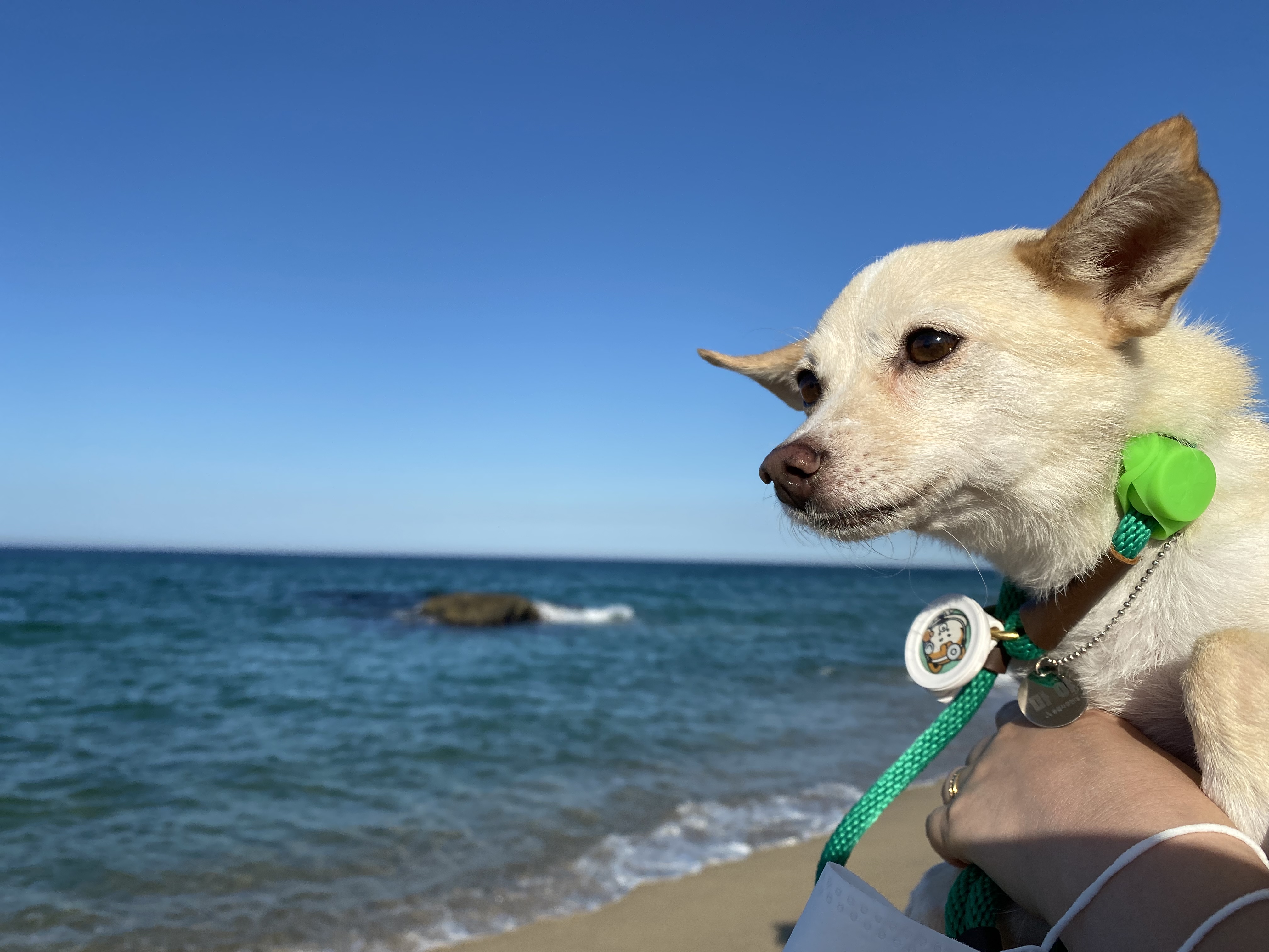 마야 소식입니다 :) 