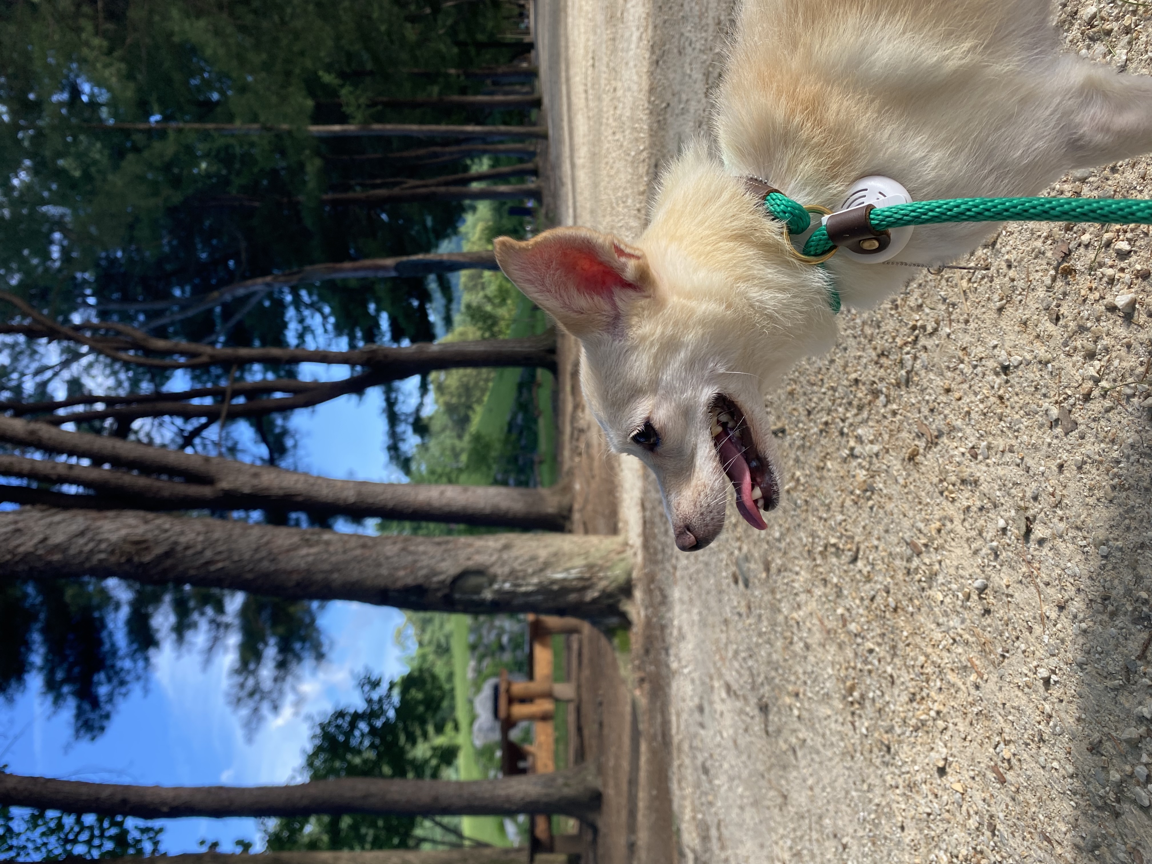 마야 소식입니다 :) 