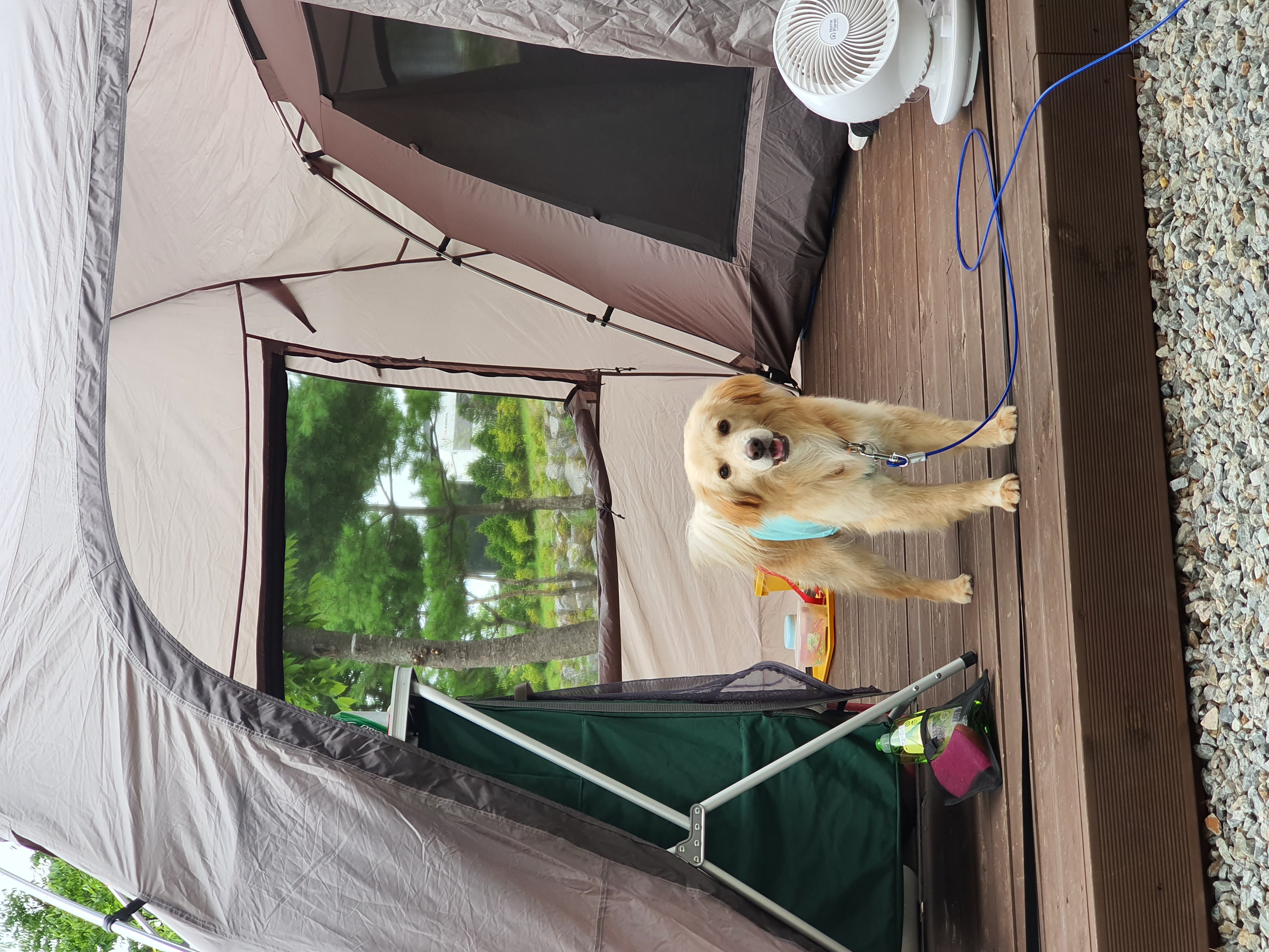 자몽이(구 육콩이)와 한달