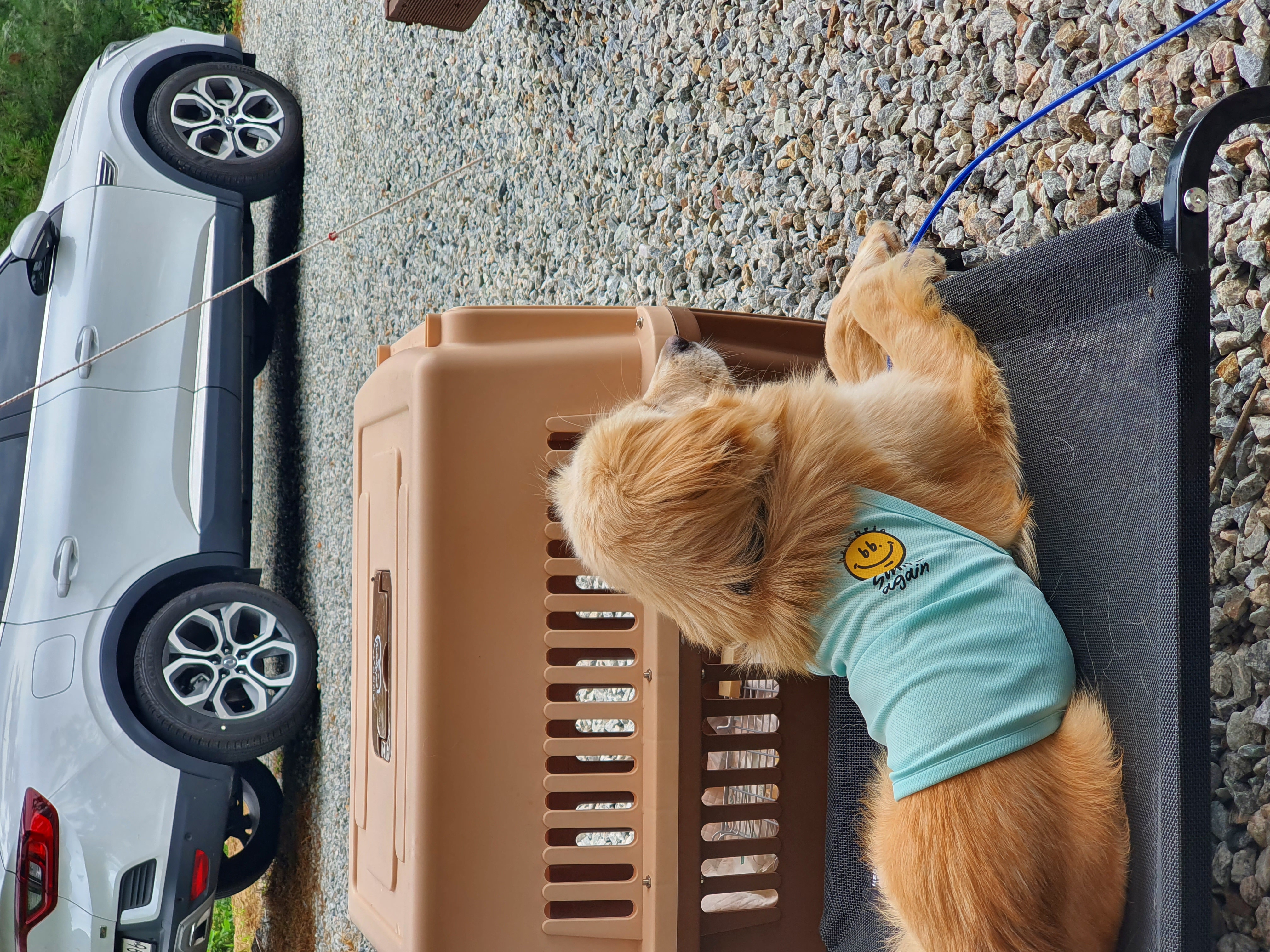 자몽이(구 육콩이)와 한달