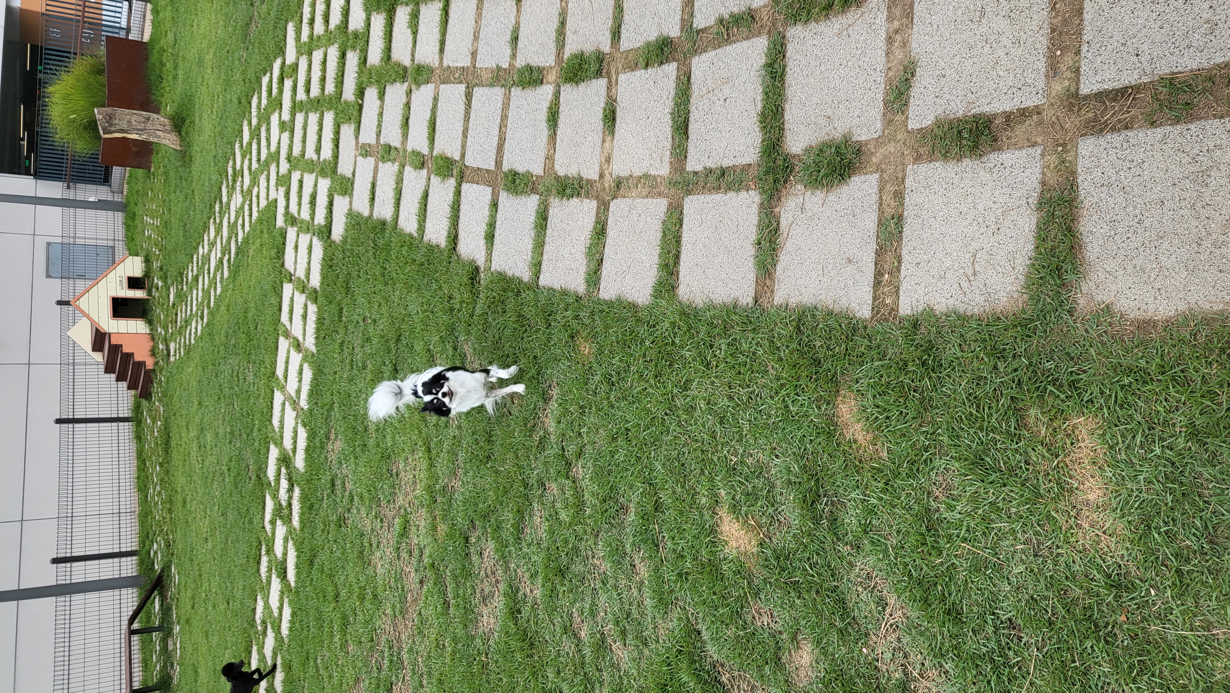 우리집 아기천사 이몬이♡