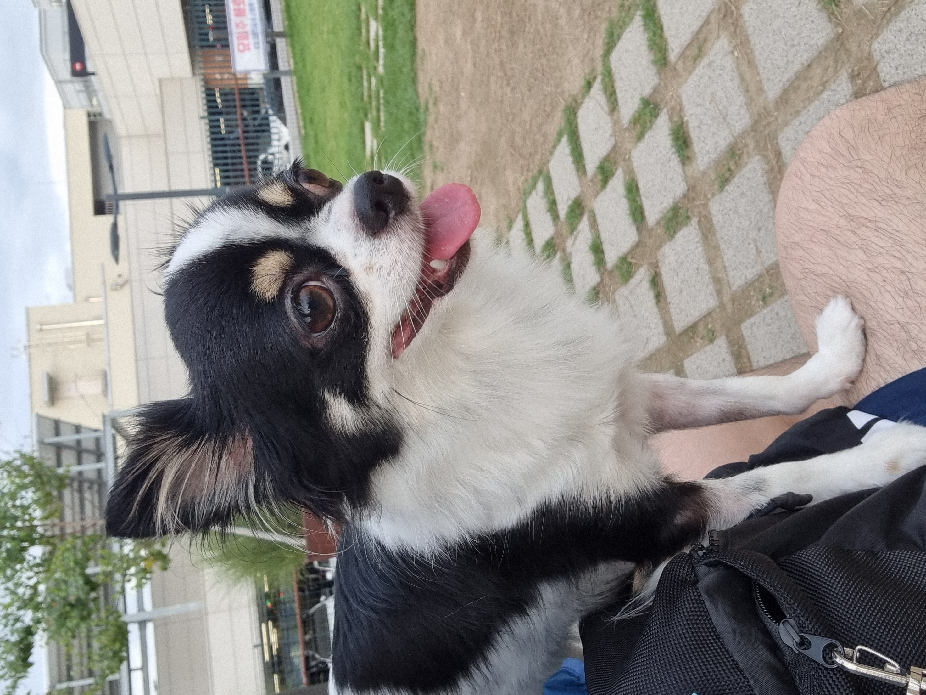 우리집 아기천사 이몬이♡