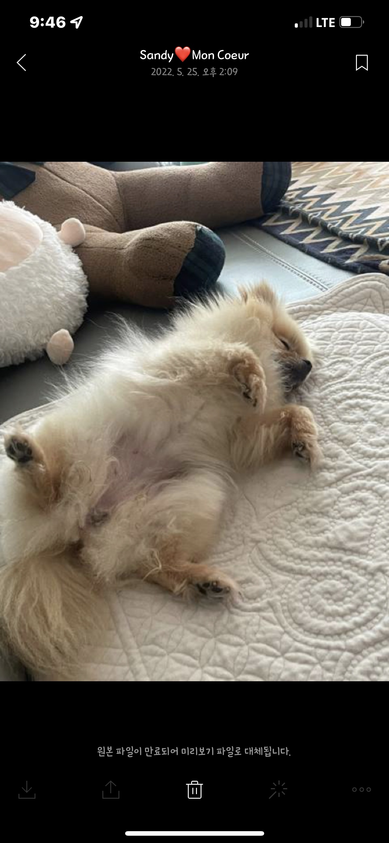 티아나(깍지) 하늘의 별이 되었습니다