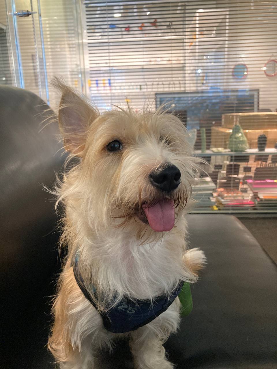 천덕꾸러기 엘리사와 조금 더 보낸 1년 이야기