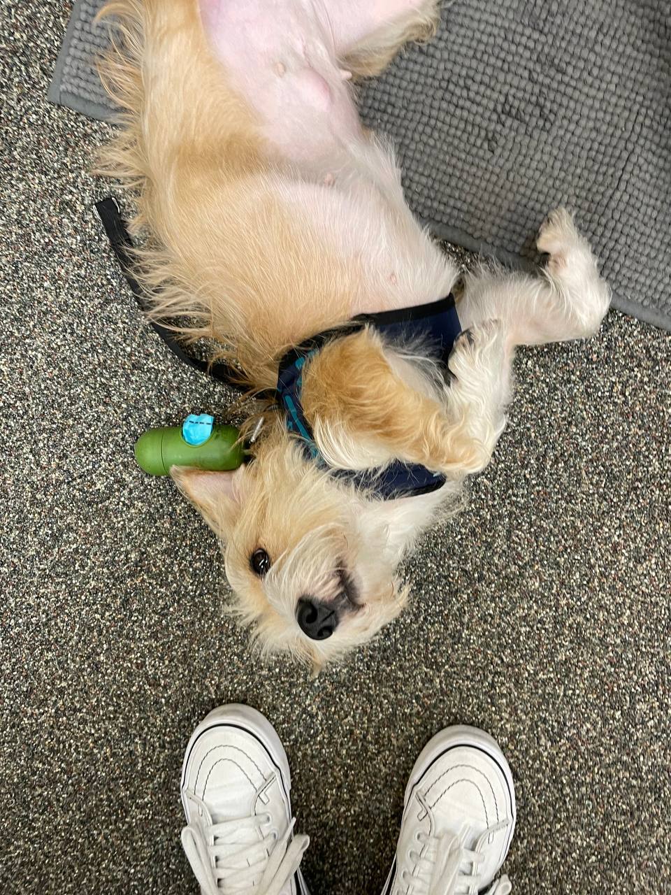 천덕꾸러기 엘리사와 조금 더 보낸 1년 이야기