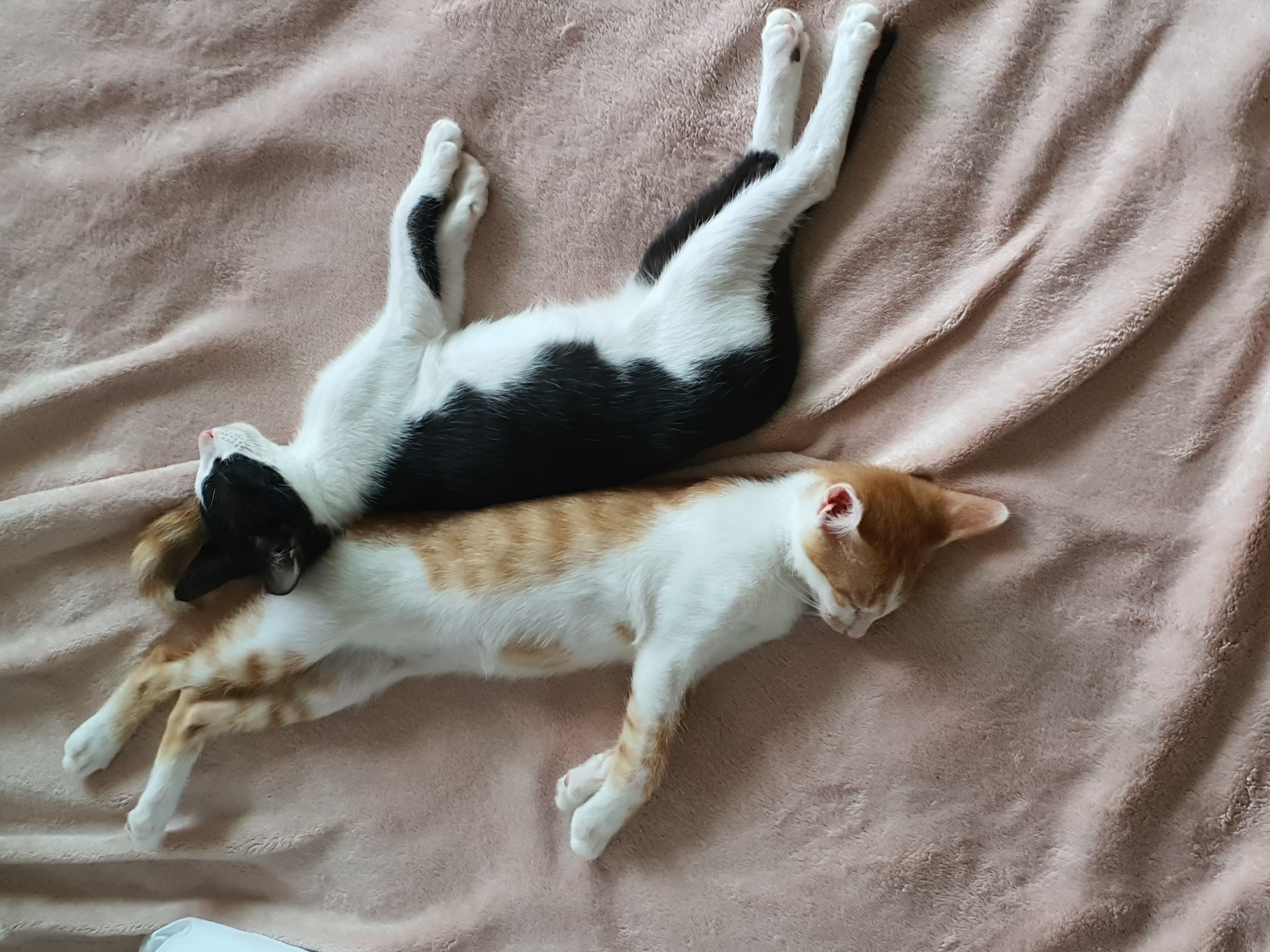 힘찬이 무럭이 1달