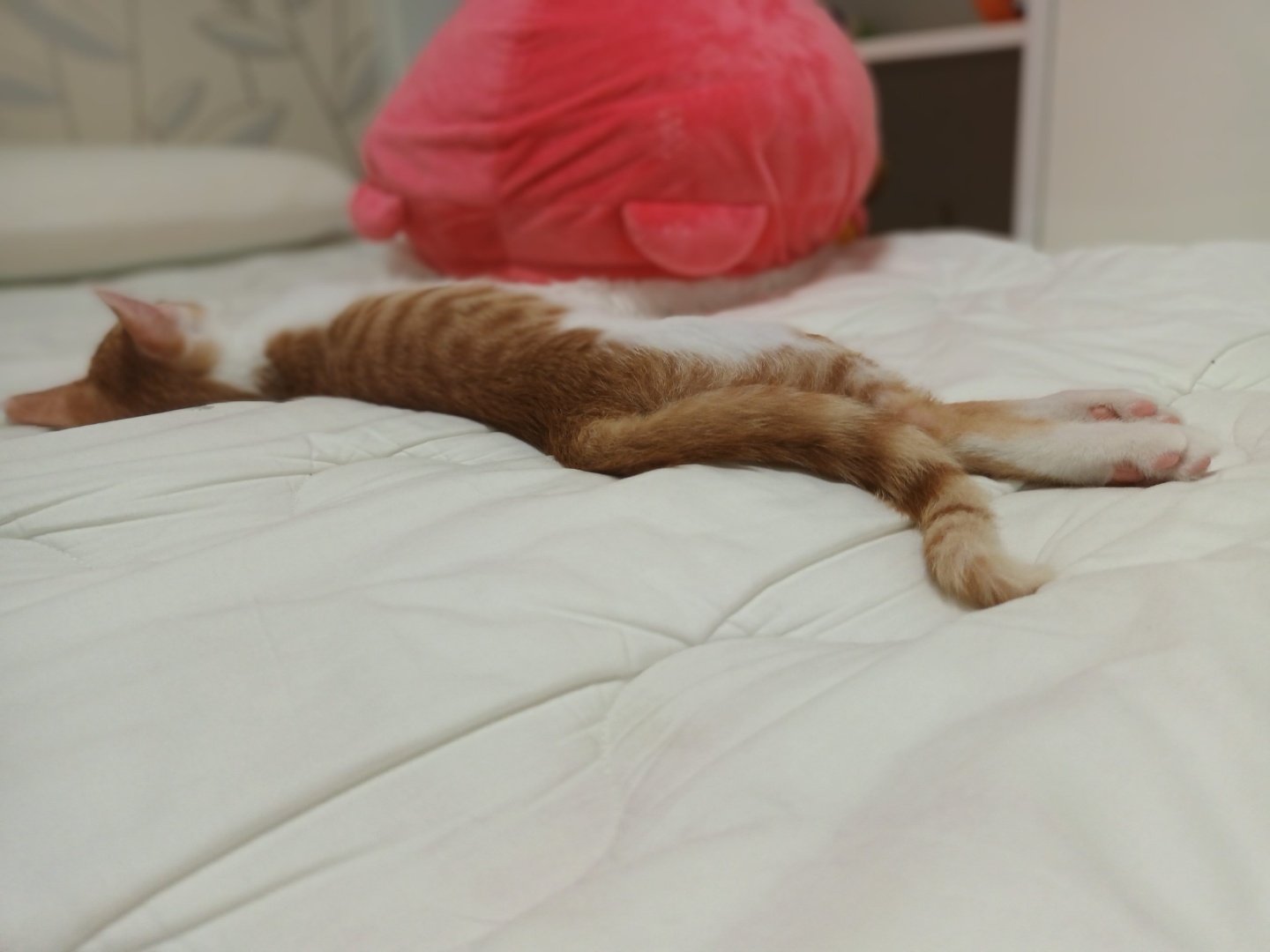 힘찬이 무럭이 1달