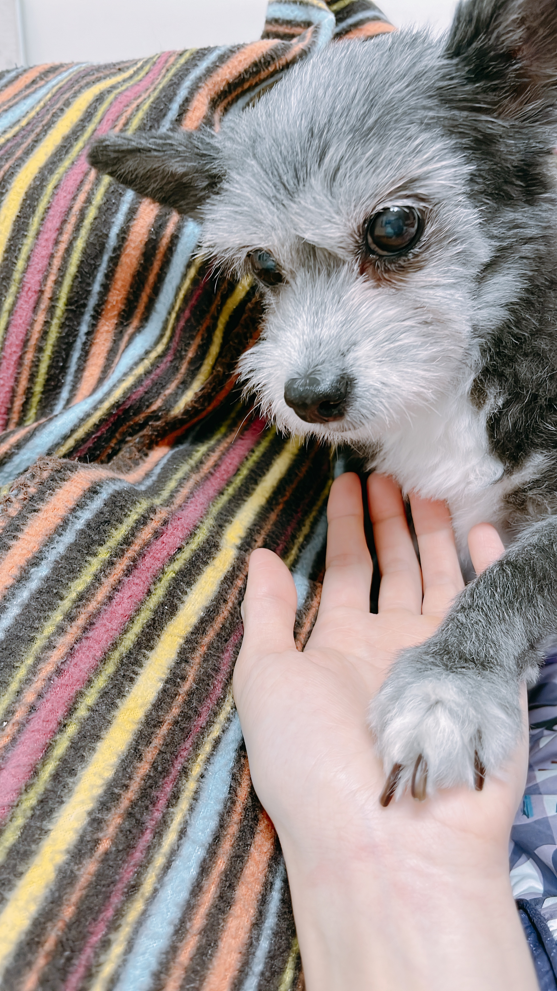 단이랑 구름이랑 소소한 일상