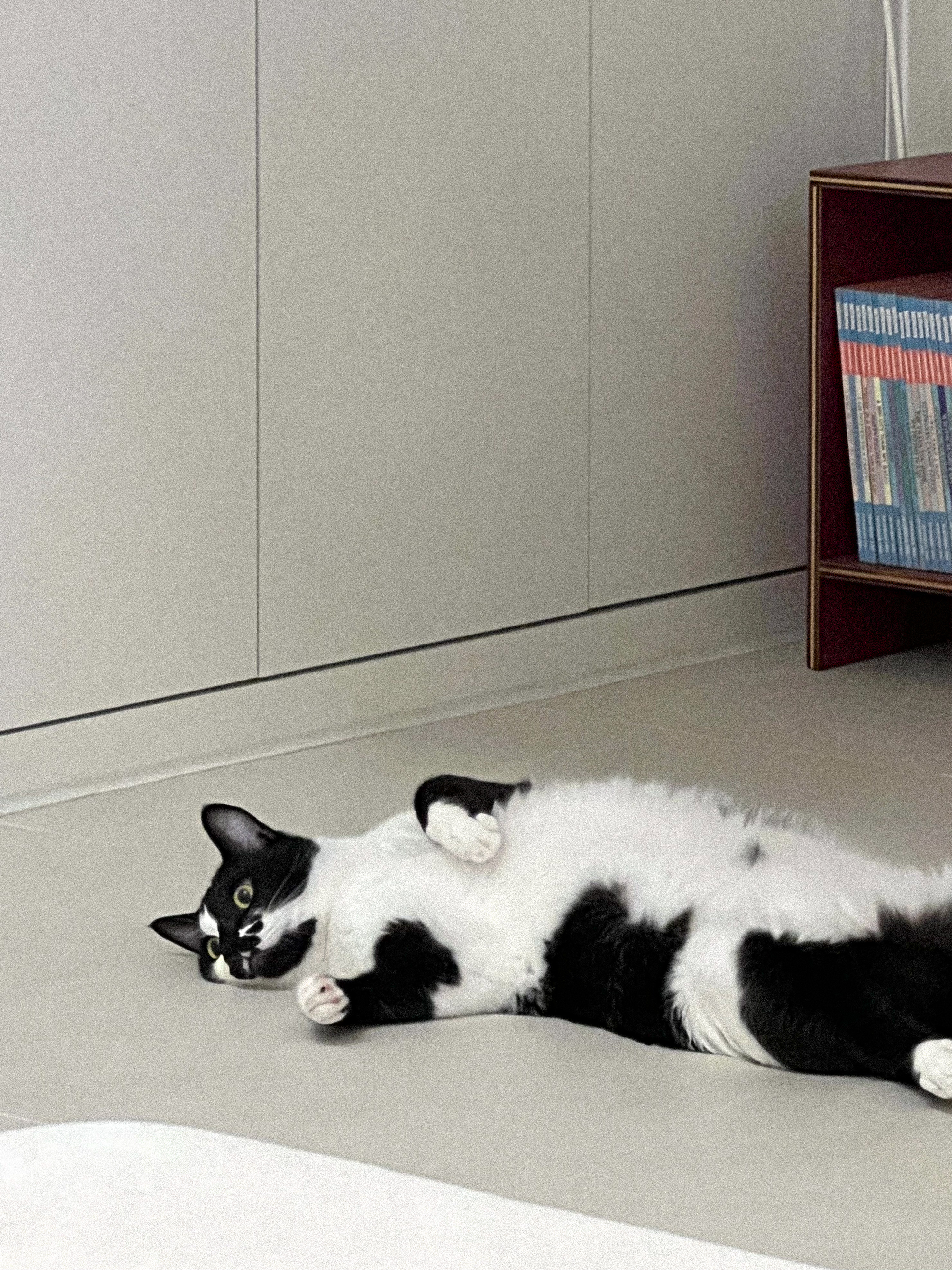 레오(라운이) 오랫만에 인사드려요!