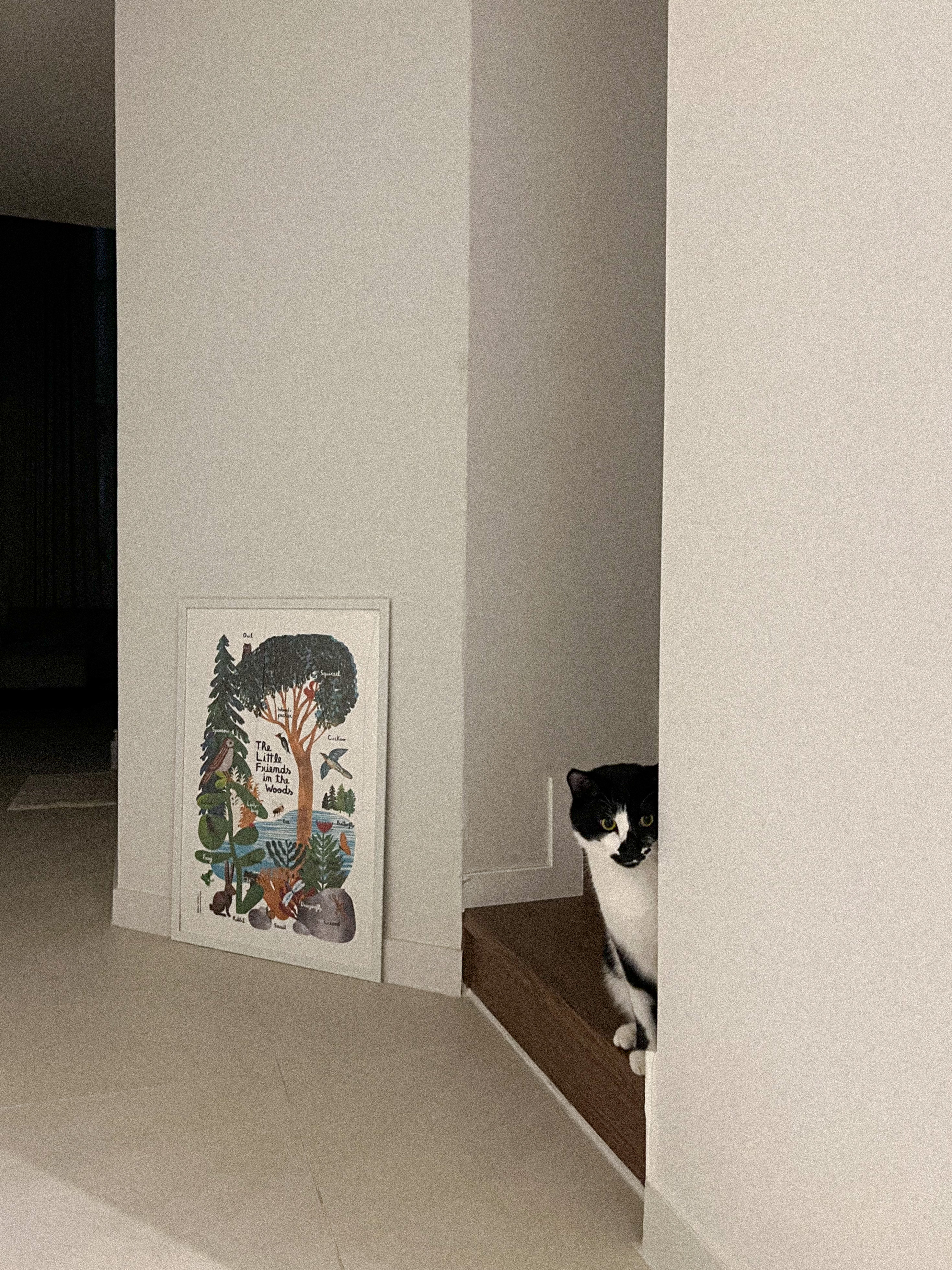 레오(라운이) 오랫만에 인사드려요!