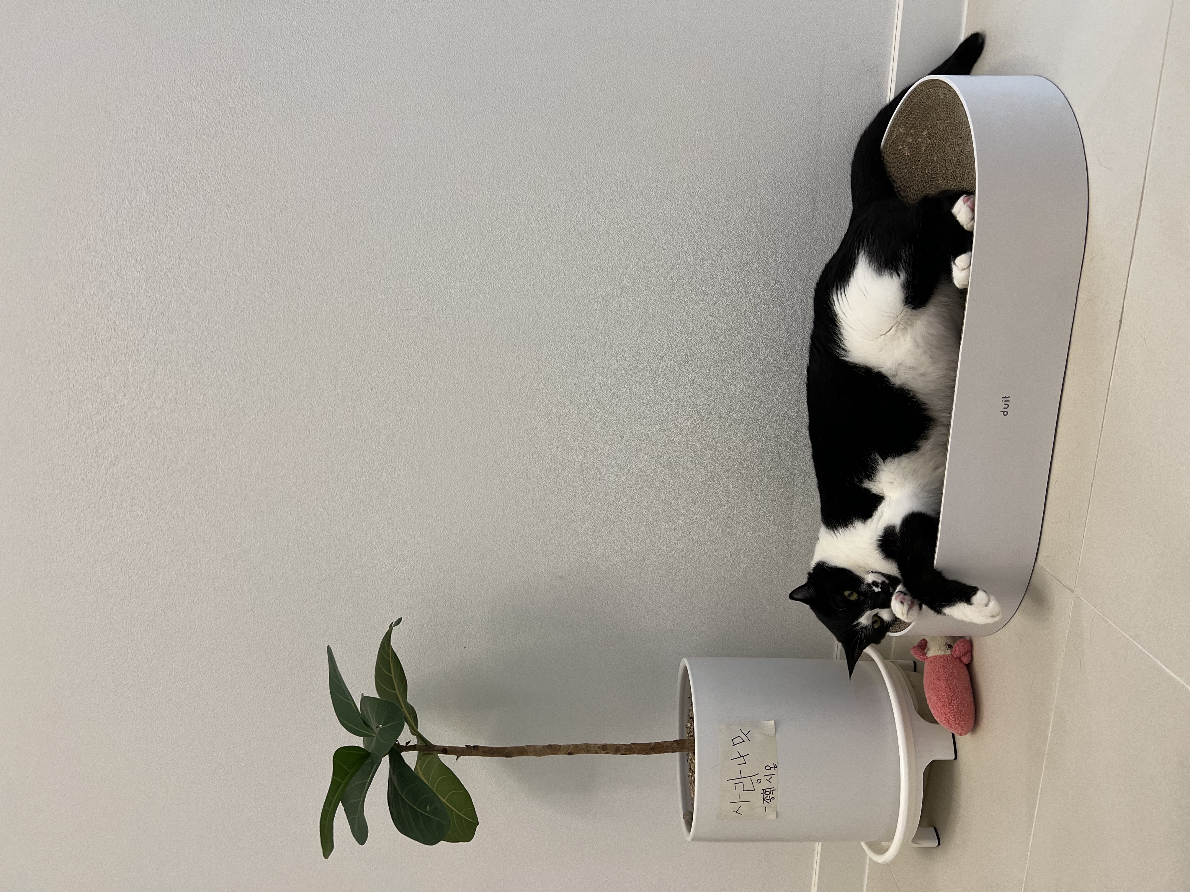 레오(라운이) 오랫만에 인사드려요!