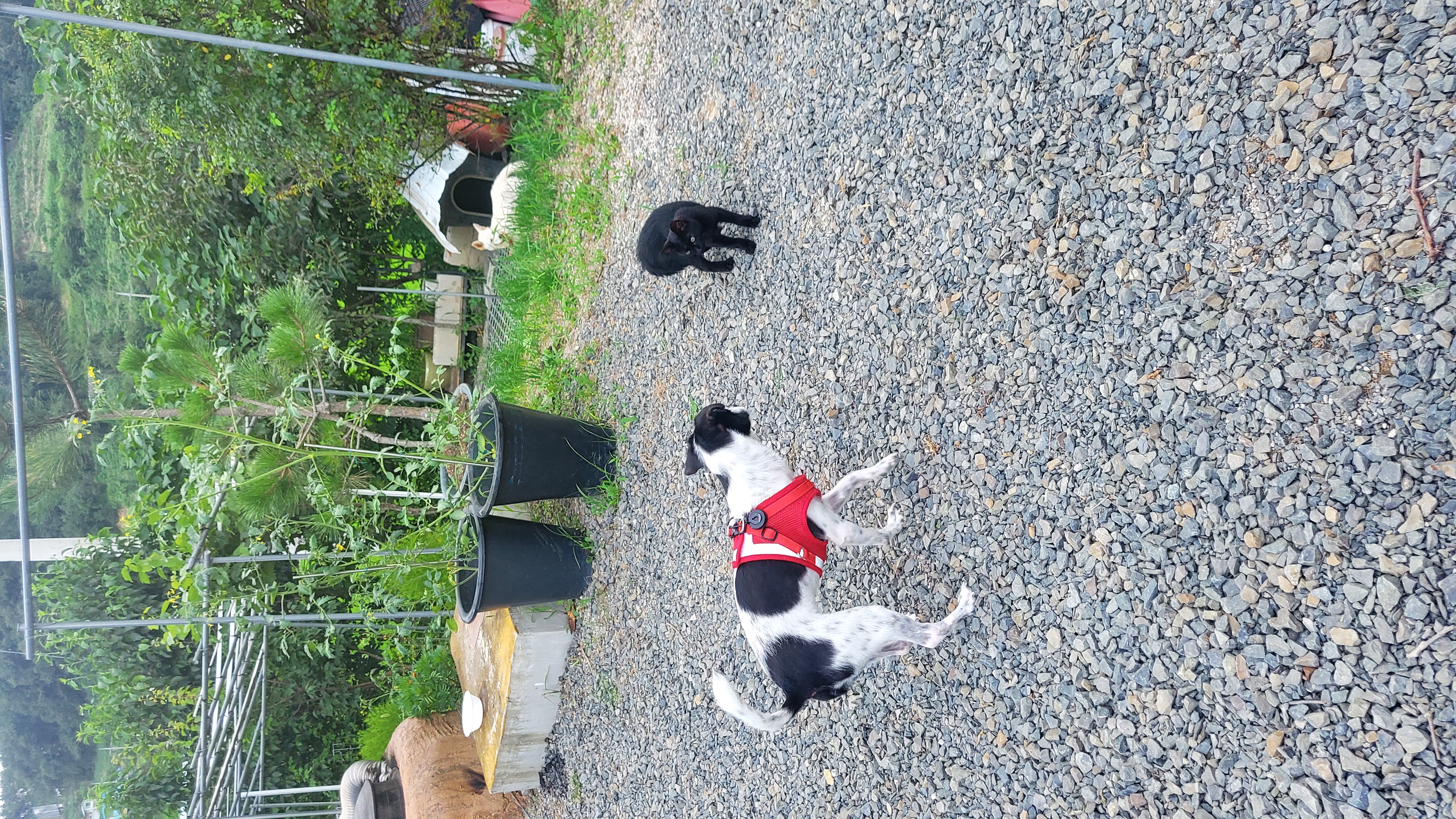 마루생일파티 여름휴가