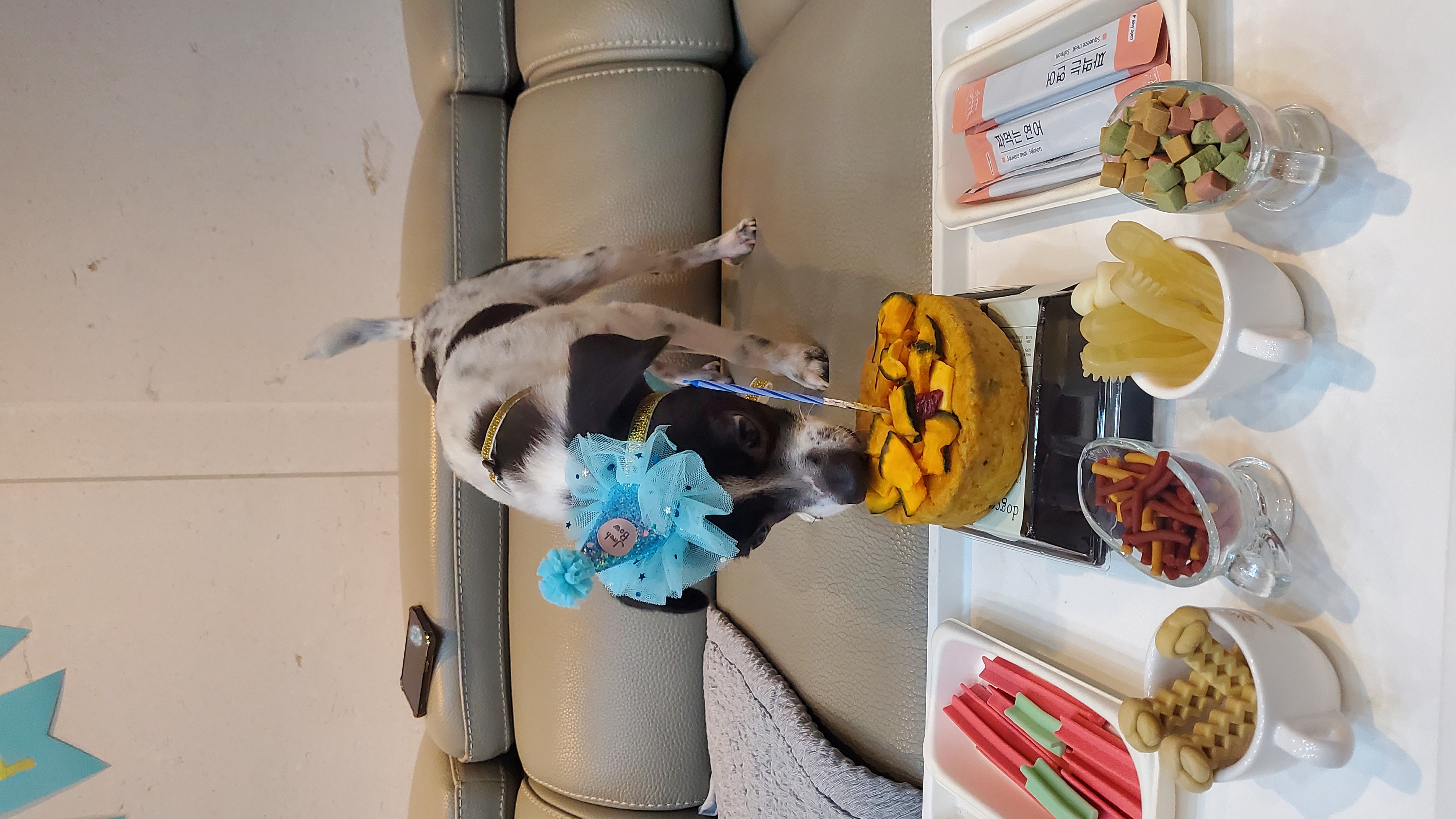 마루생일파티 여름휴가