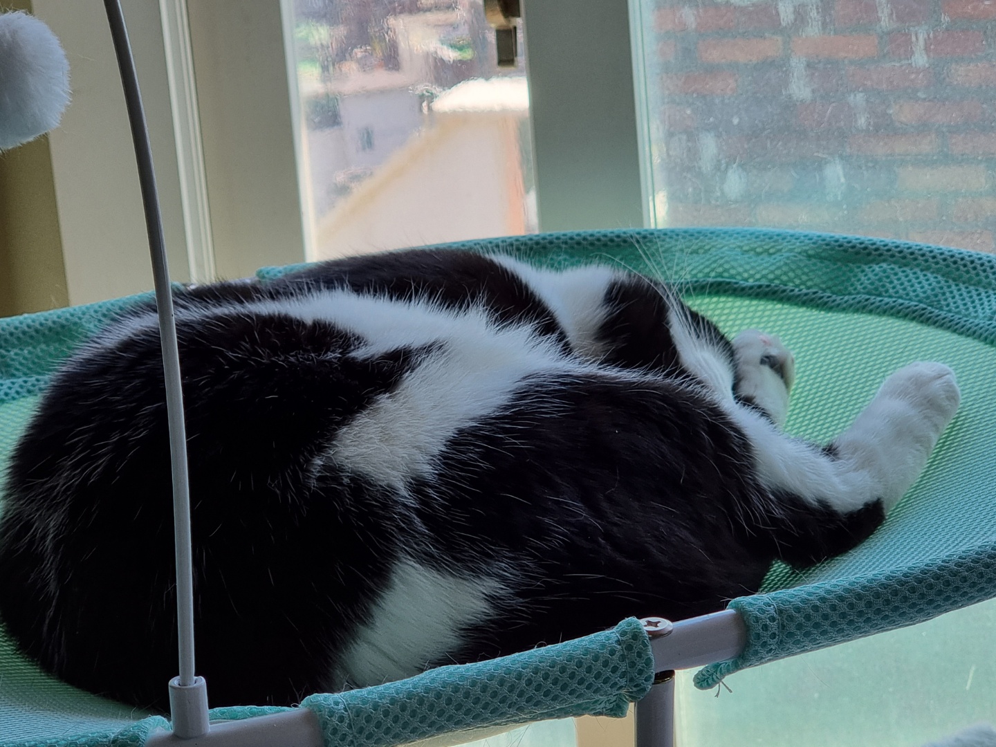 코리(구,코점이) 오래간만이예요~