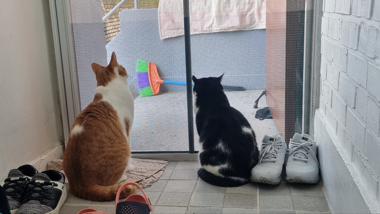 코리(구,코점이) 오래간만이예요~