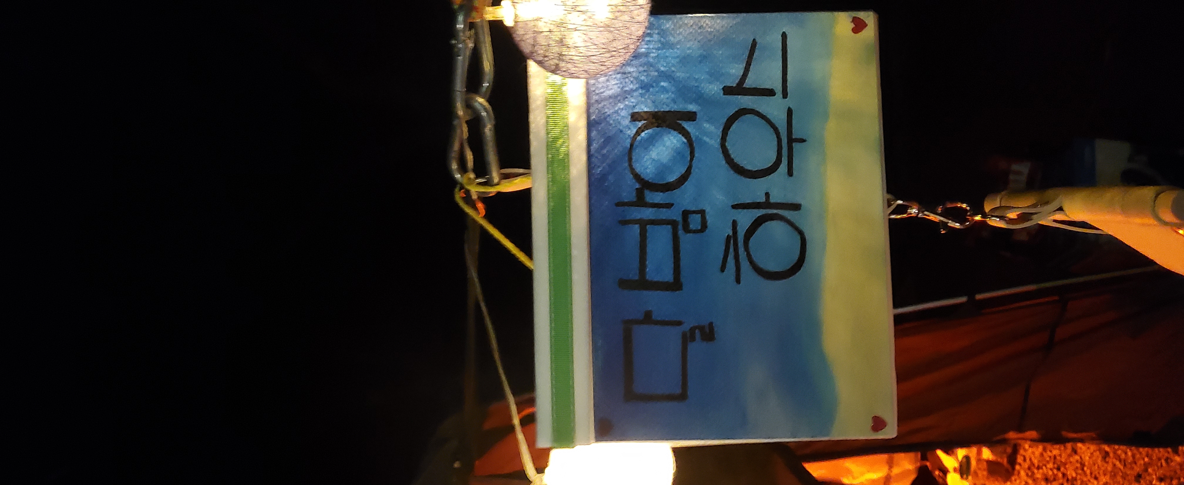 곤지암 달밤이 입양후 1년