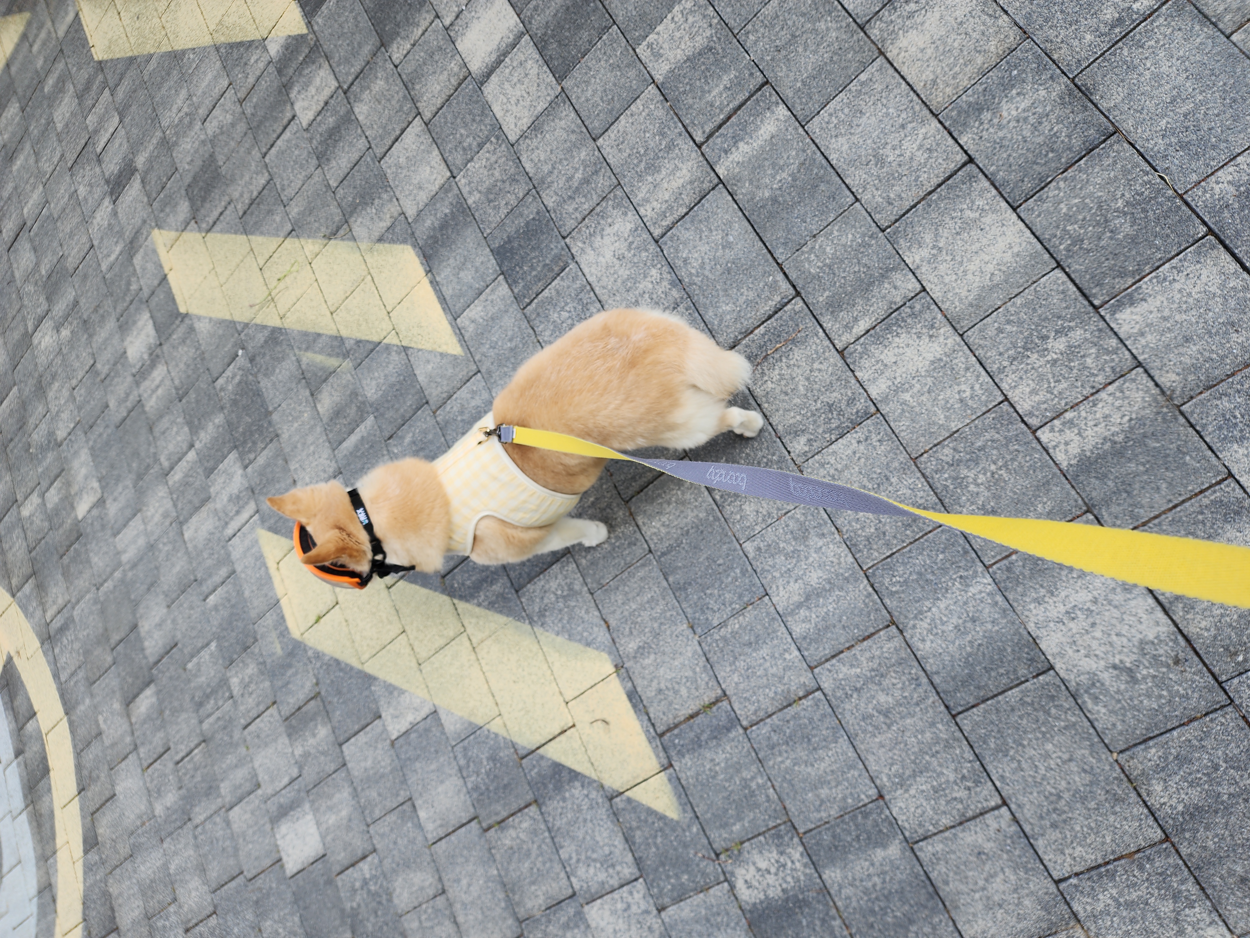 해피추석! 오랜만에 레이입니다:)