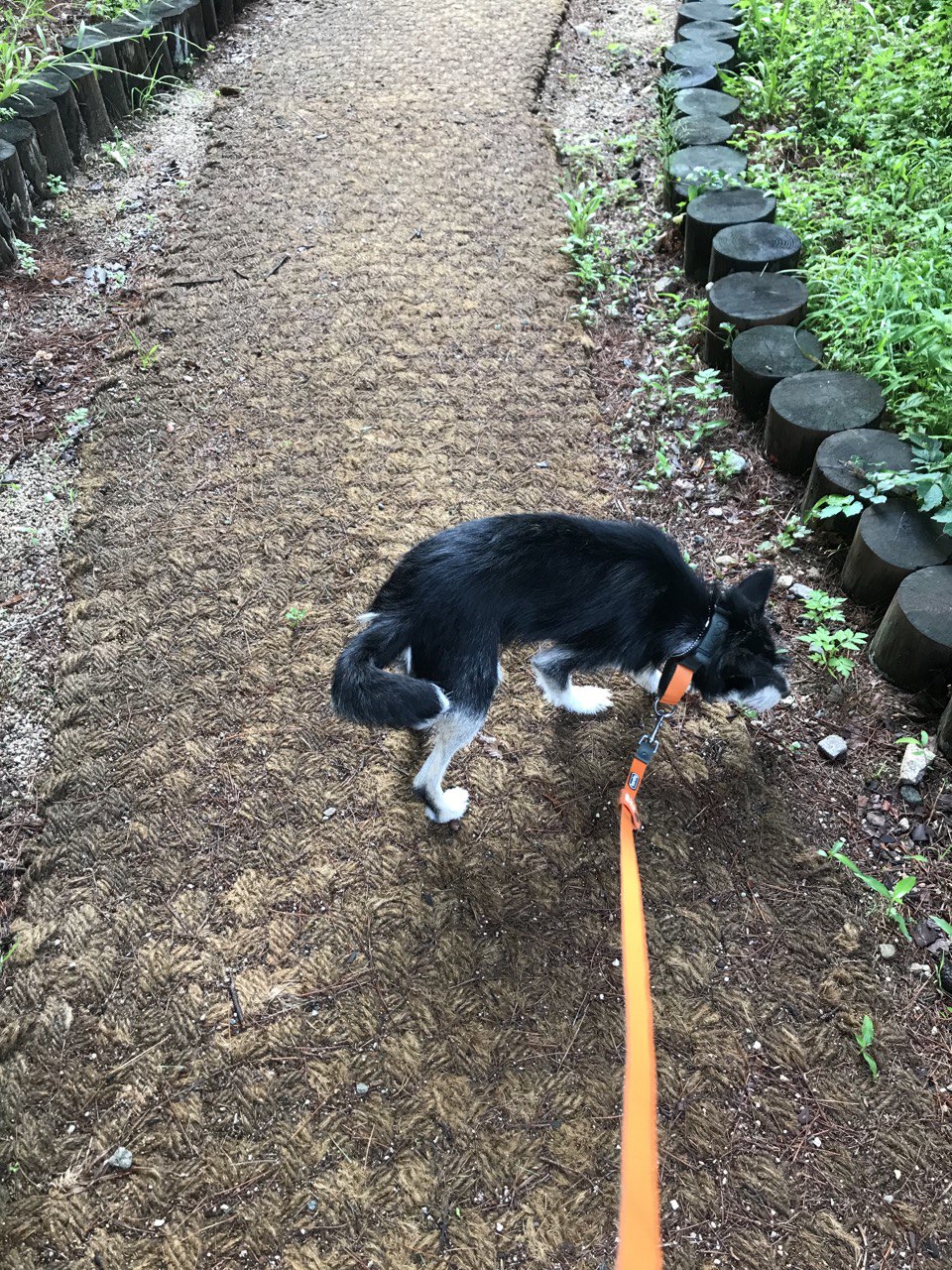 두송이와 함께 3개월!