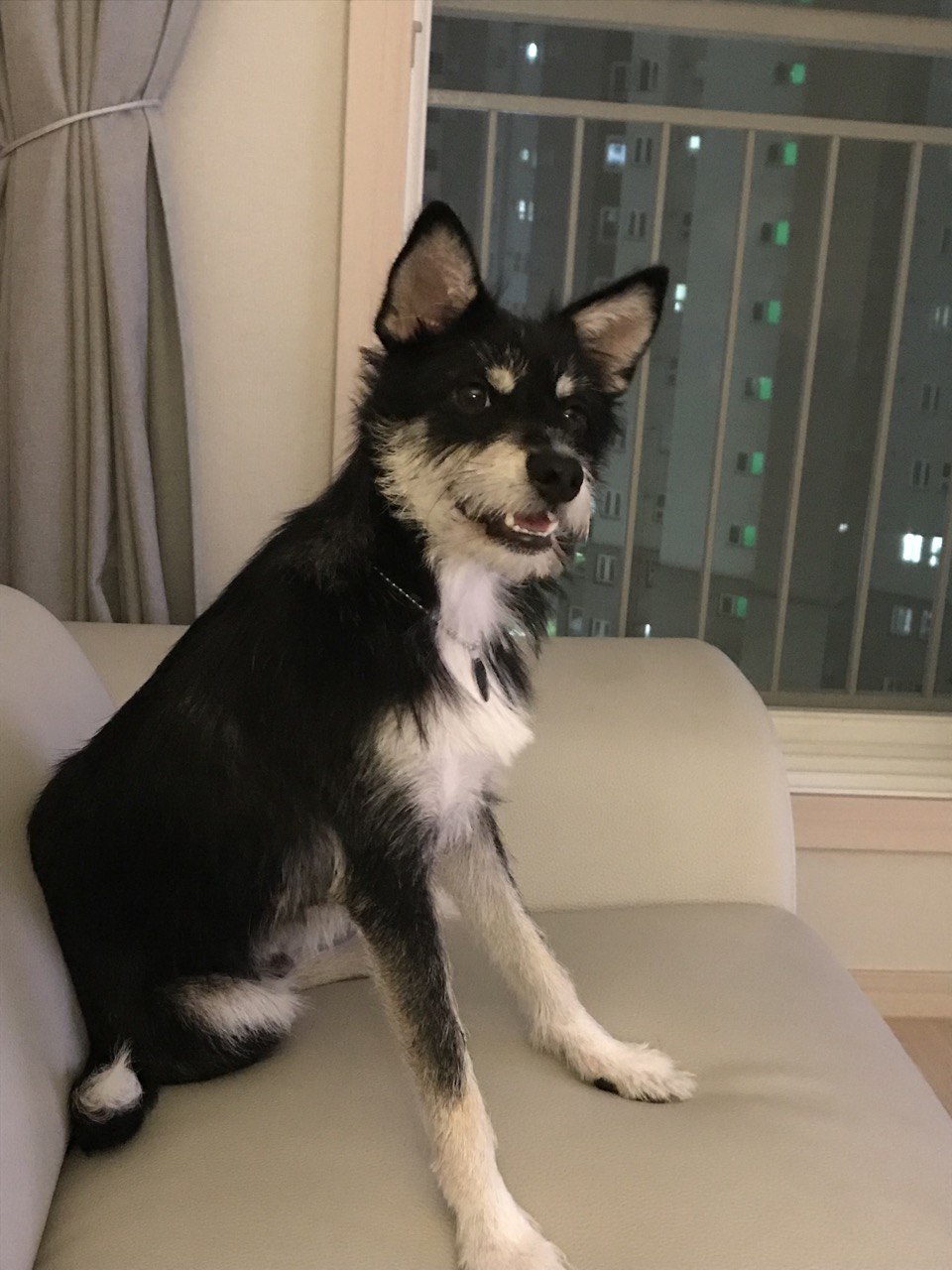 두송이와 함께 3개월!