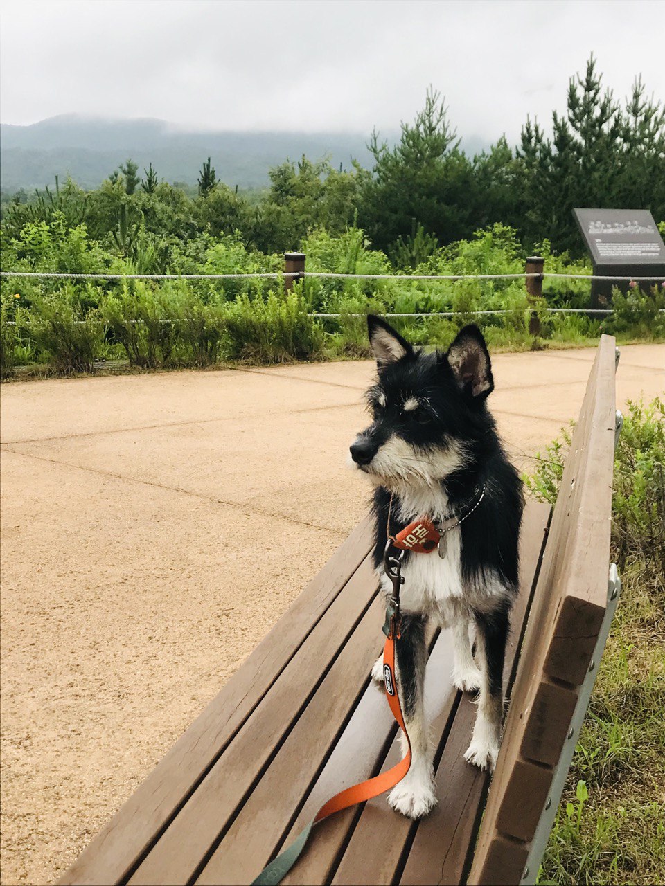 두송이와 함께 3개월!