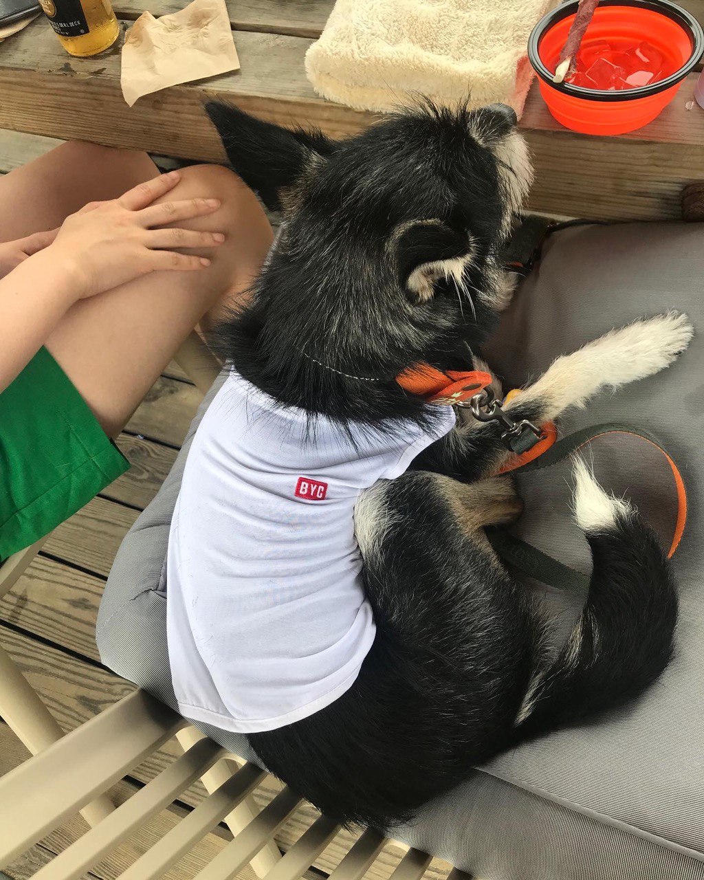 두송이와 함께 3개월!