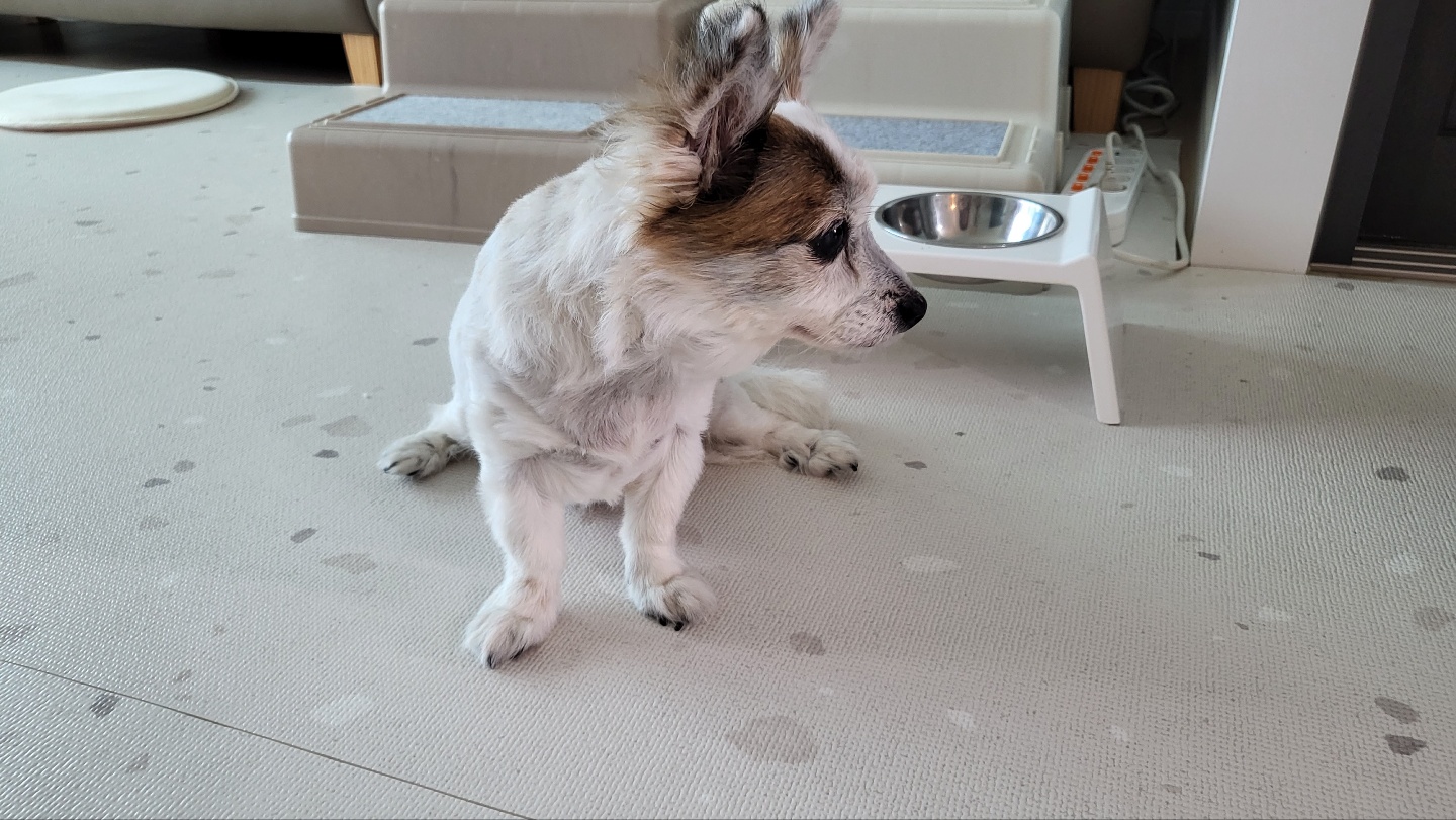 수라와 10년 하고도 2개월째에요 ^^