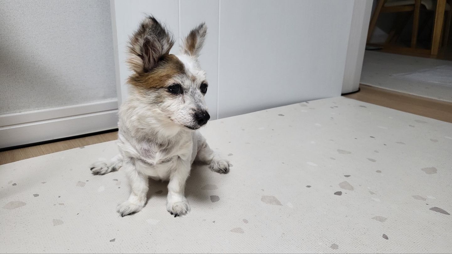 수라와 10년 하고도 2개월째에요 ^^