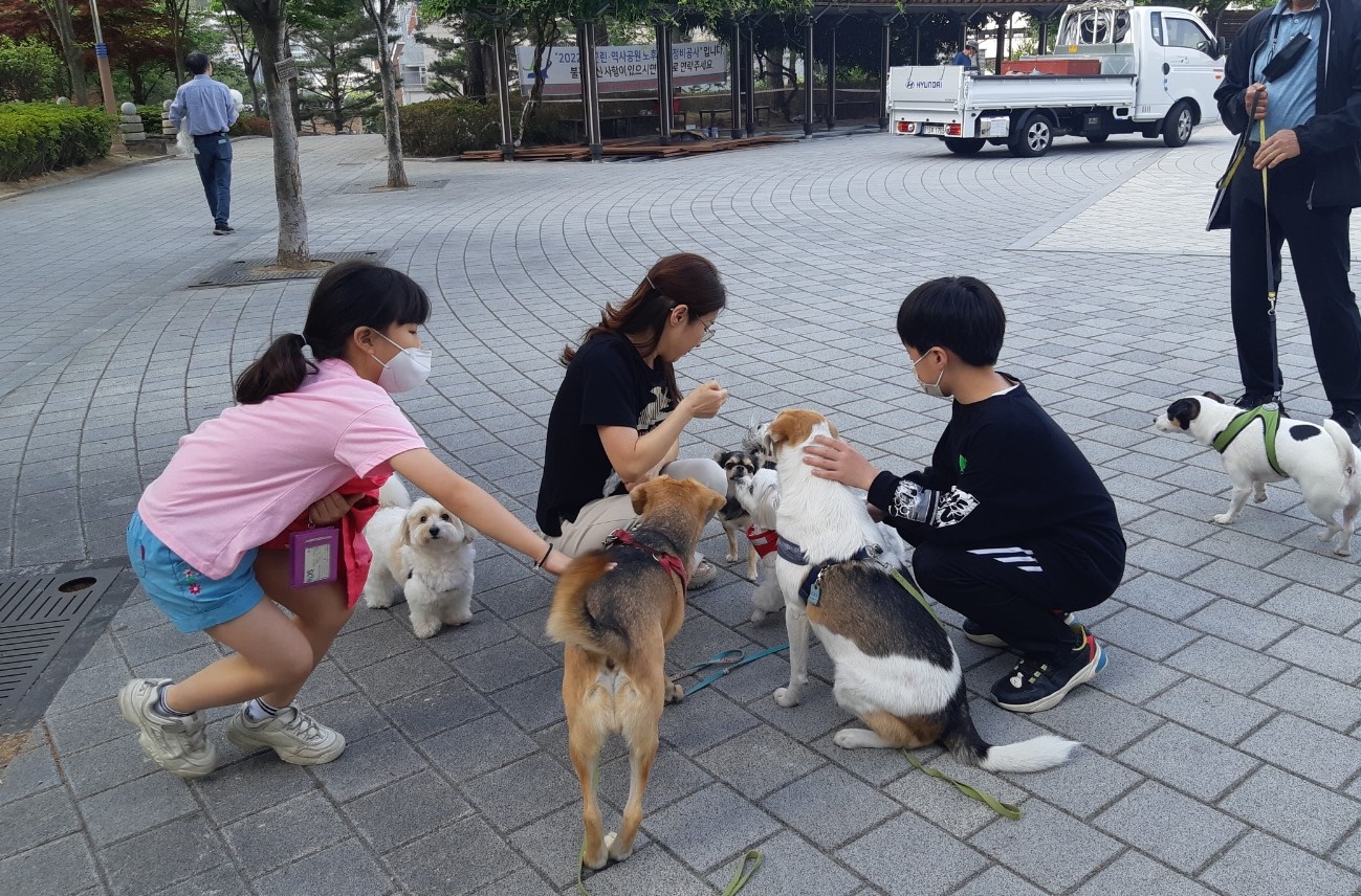 웅이와 장이 형제 입양 2년...새 형제도 생겼어요