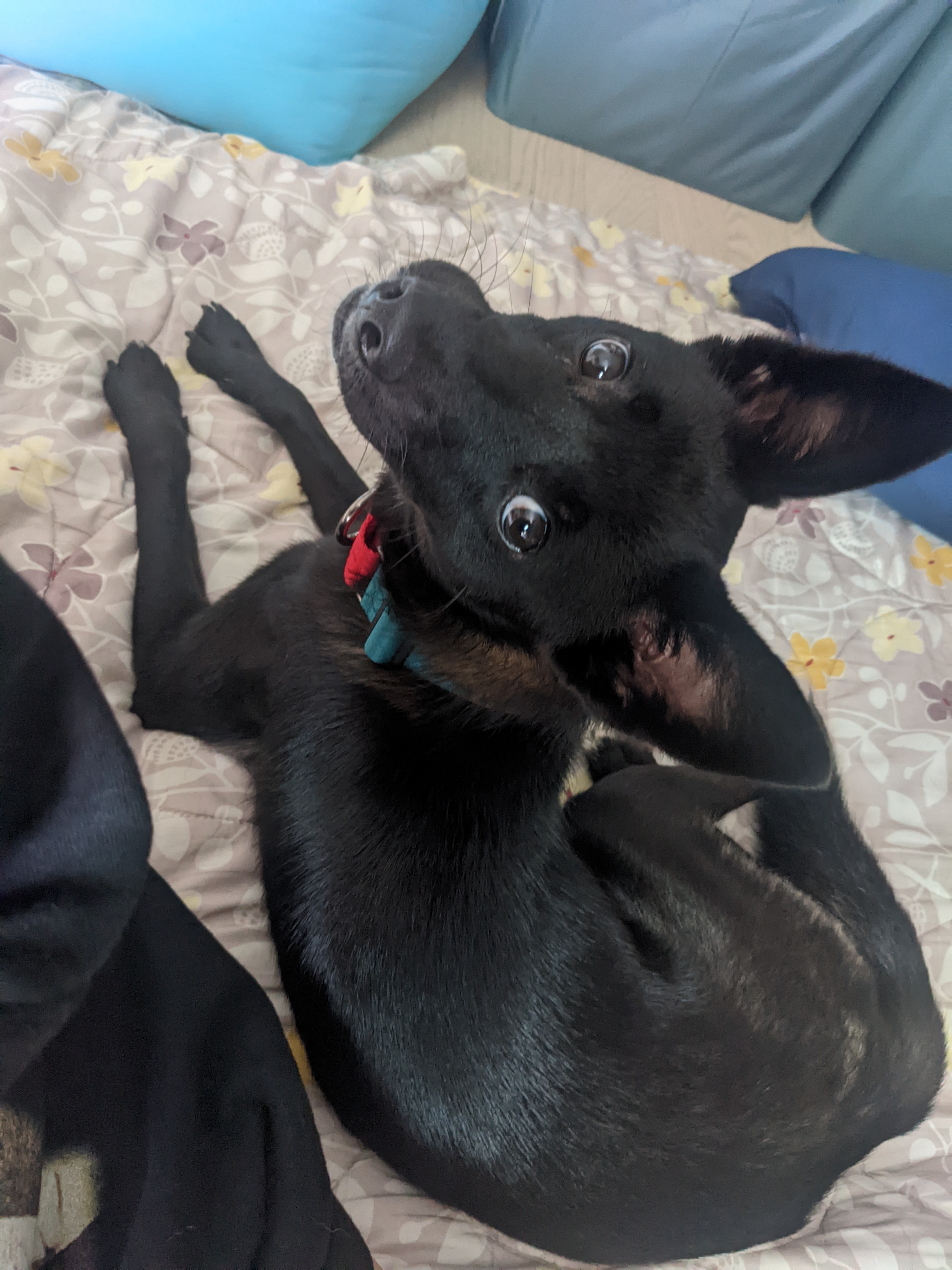 오렌지 임시보호 5일차