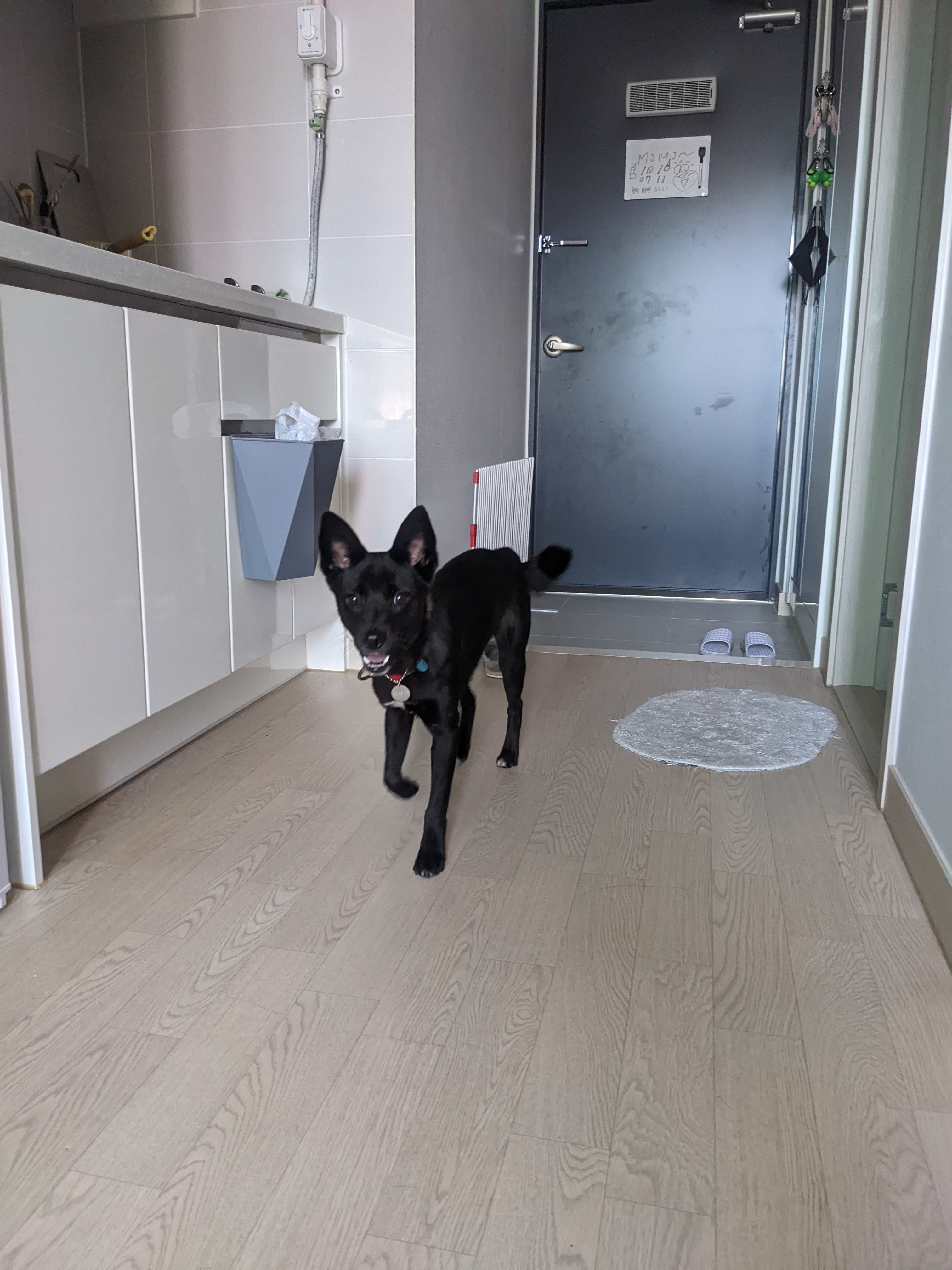 오렌지 임시보호 5일차