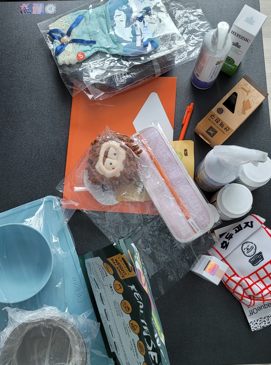 세라 임보 일주일 차 