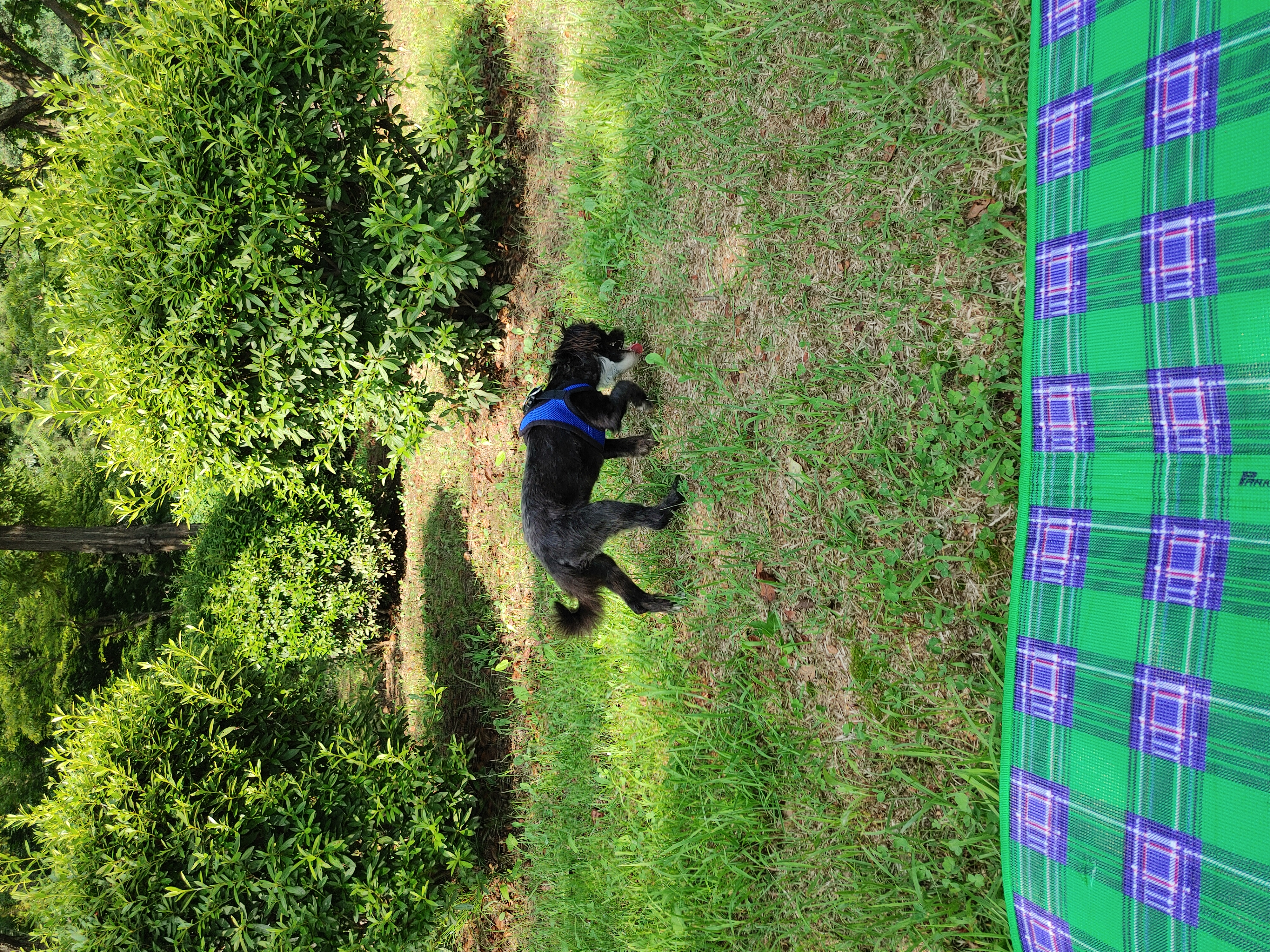 깡이(타타)와 승이(탱숙)