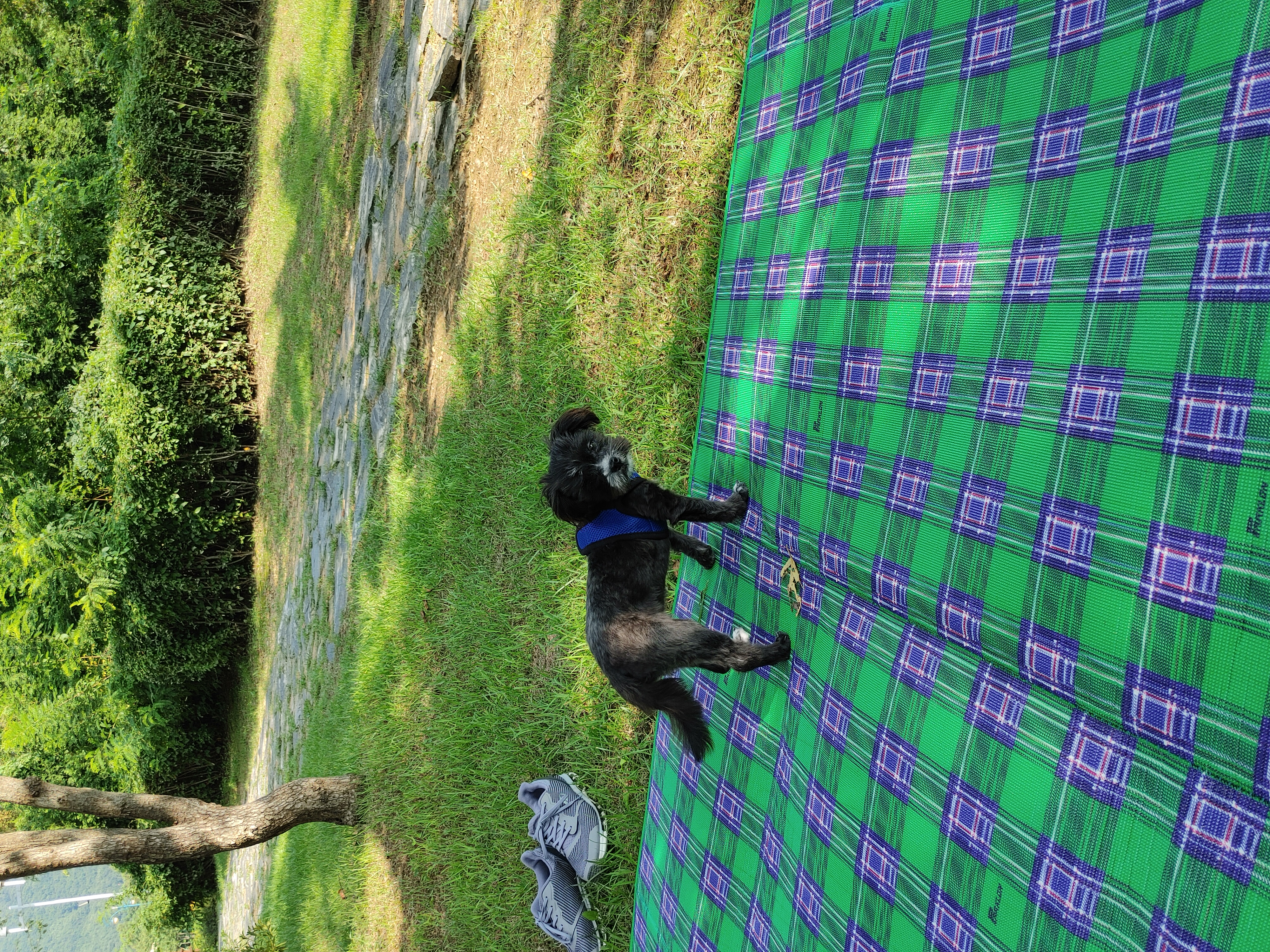 깡이(타타)와 승이(탱숙)