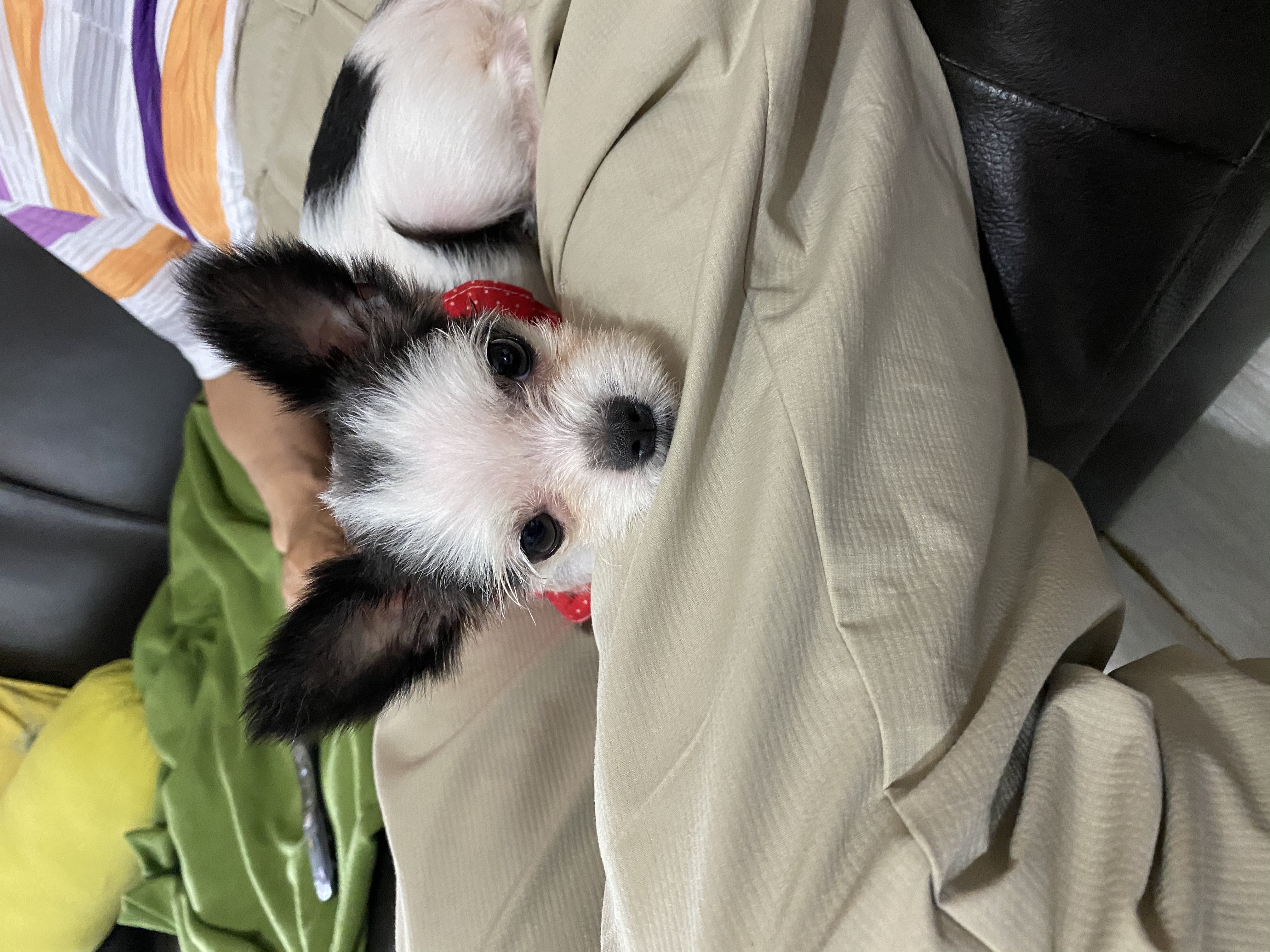 아산구조 덕호입니다.