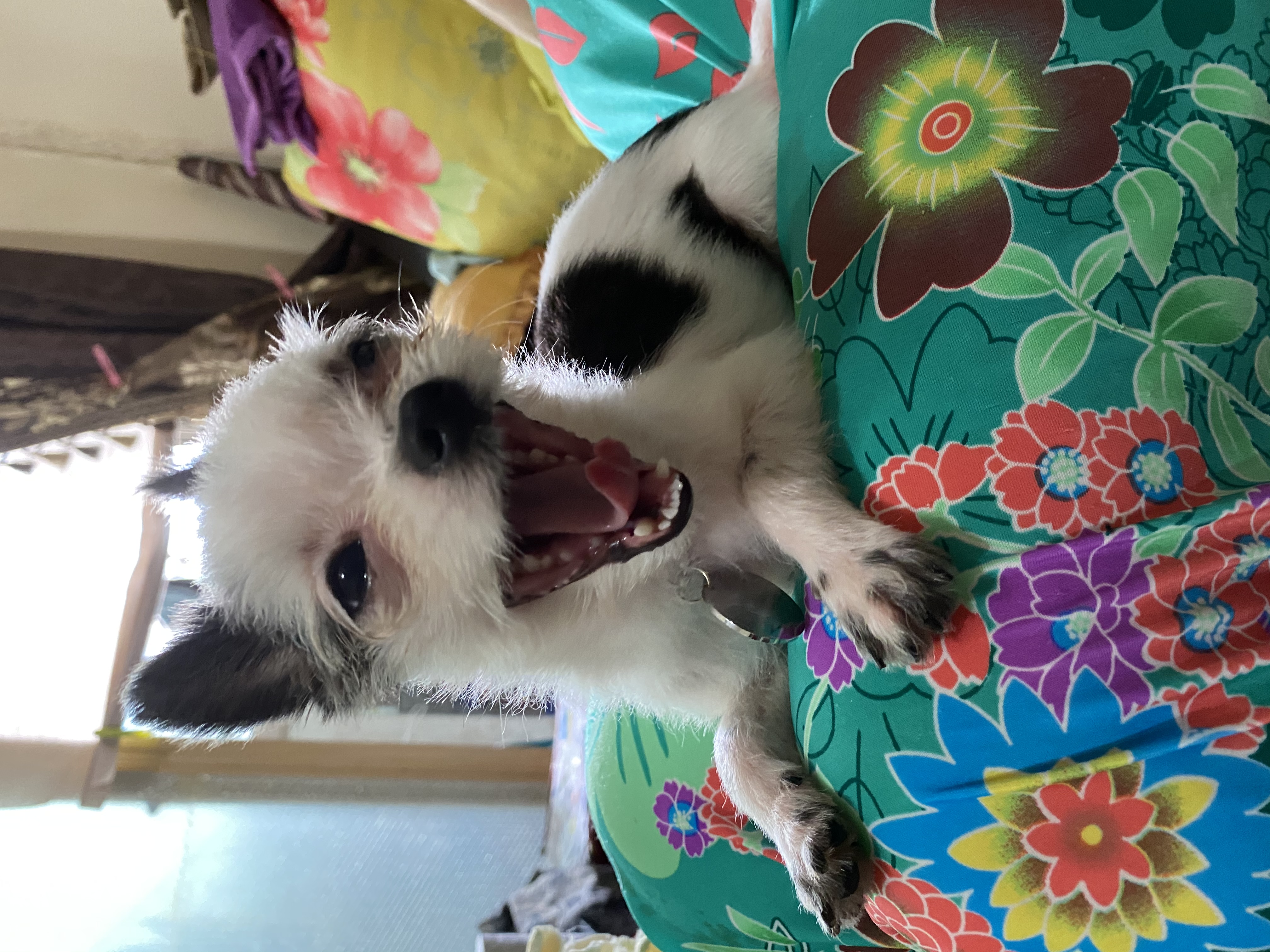 아산구조 덕호입니다.