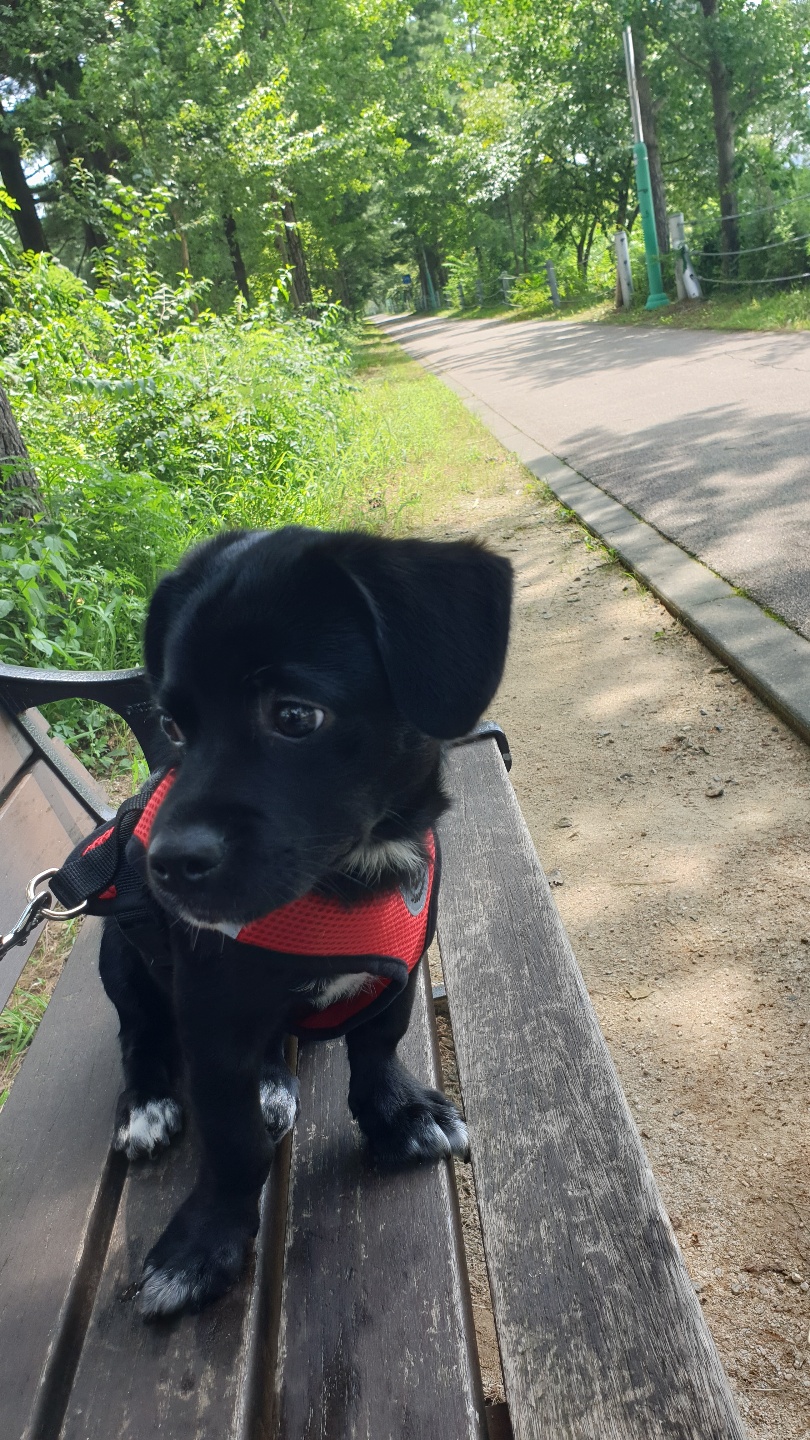 까미(반양이)네 입니다