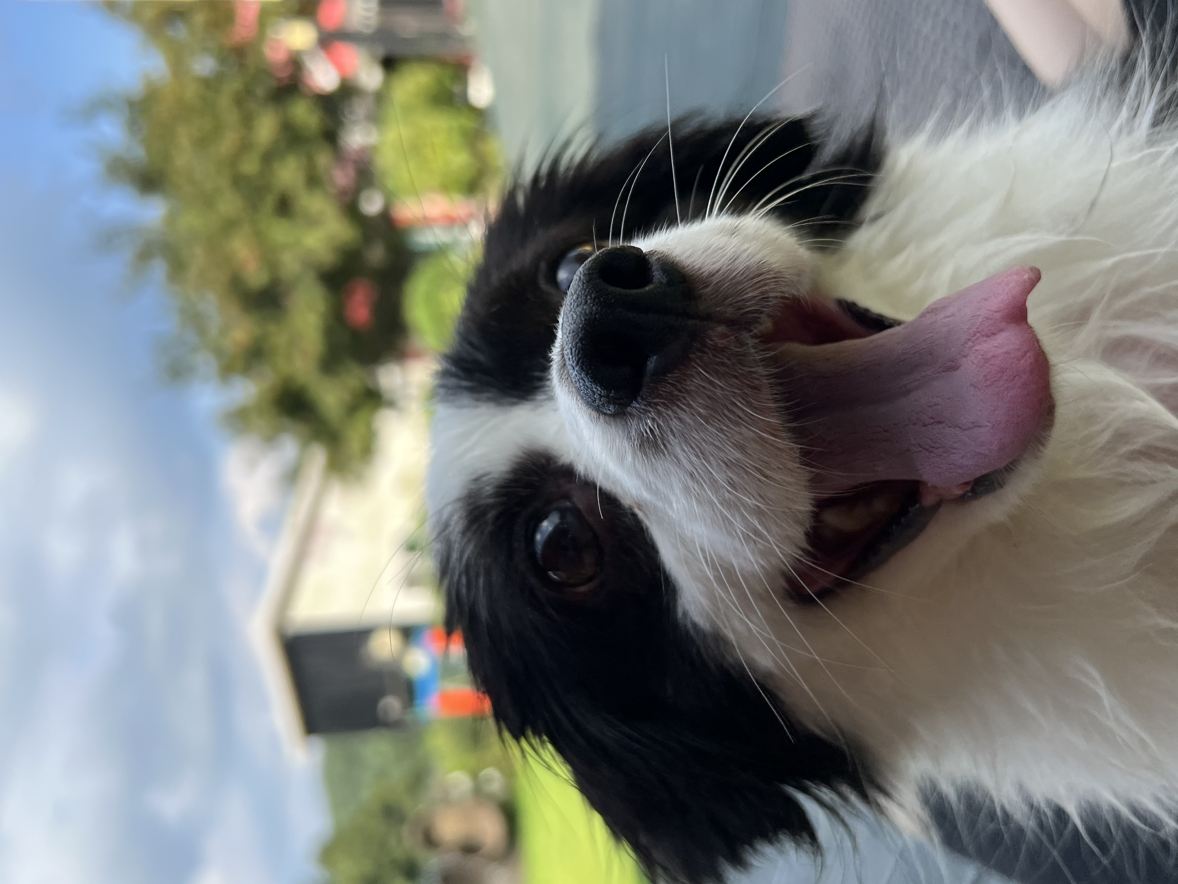 시유(모네) 첫 물놀이입니다