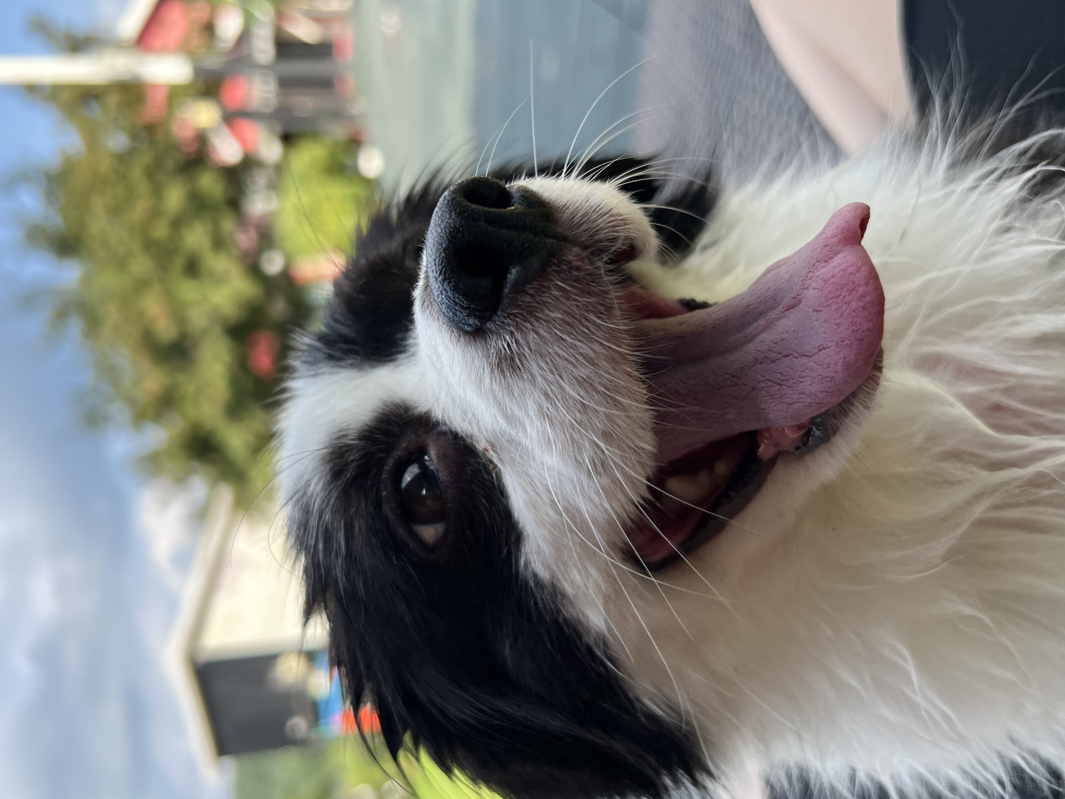 시유(모네) 첫 물놀이입니다