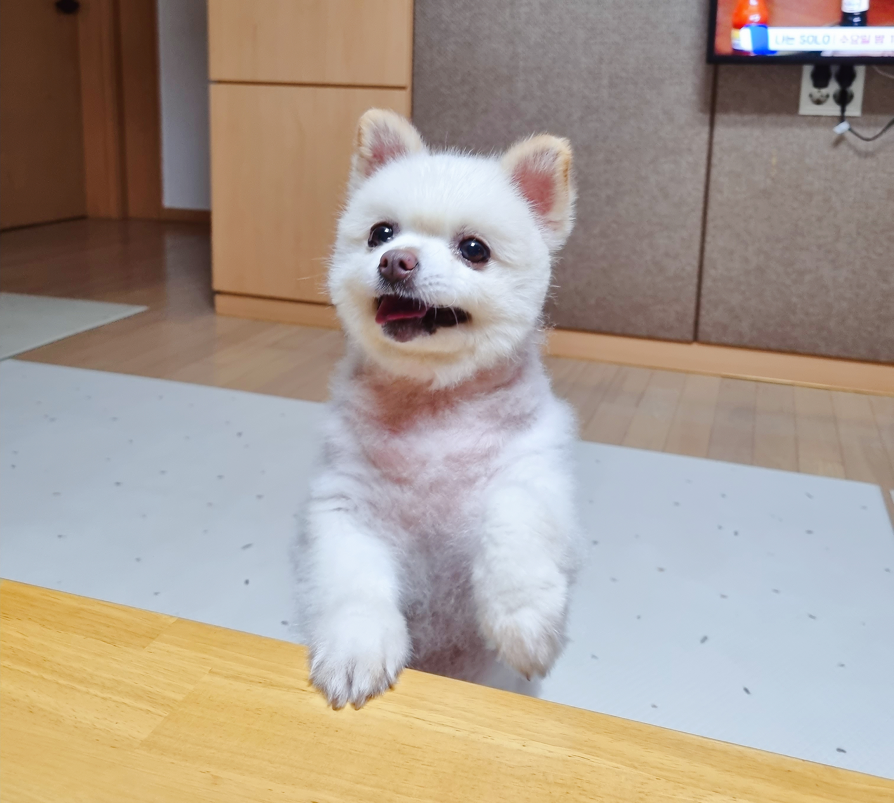 레이(구, 육곤이) 잘 지내요